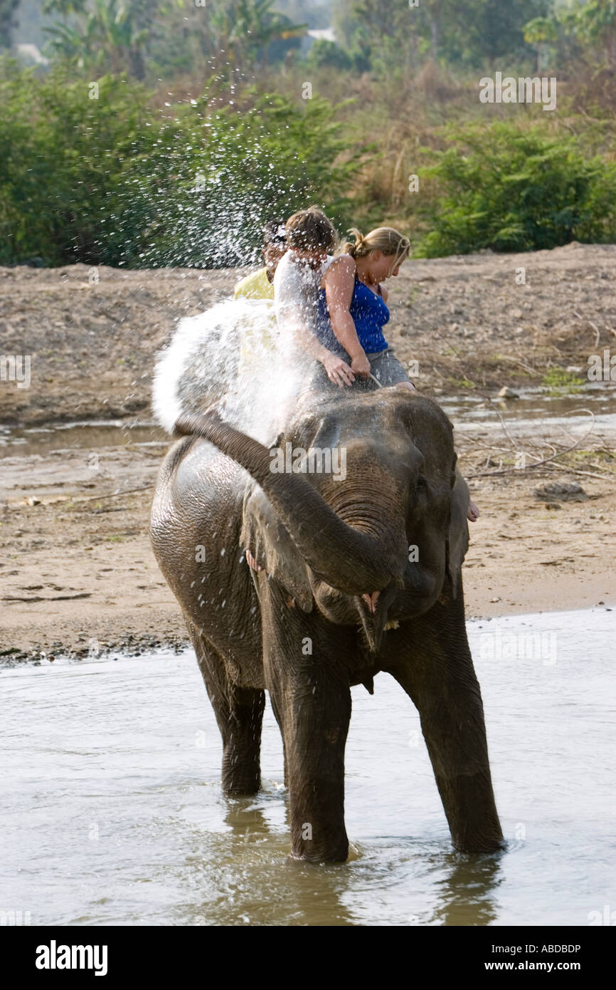 Elephants splash and play surprising young tourists in river on trek near Pai north Thailand Stock Photo