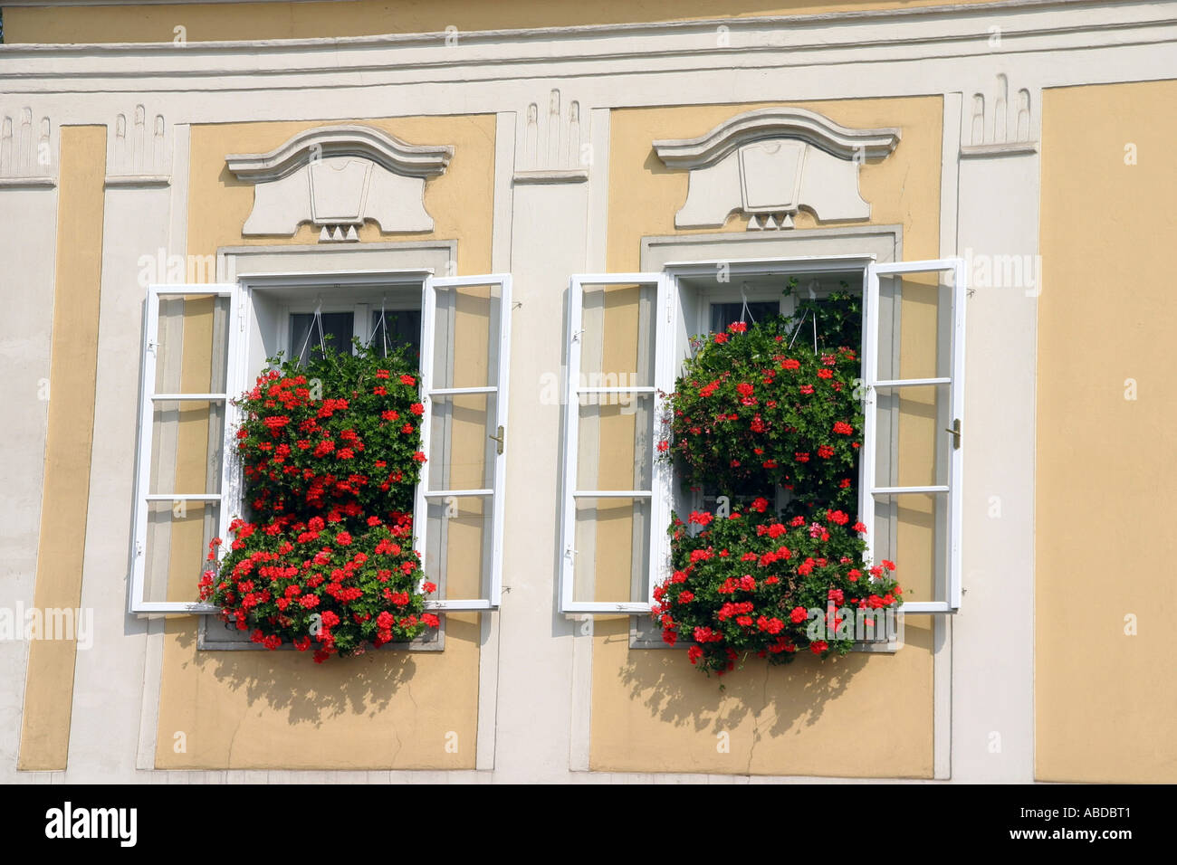 House with many flowers in the windows Stock Photo Alamy