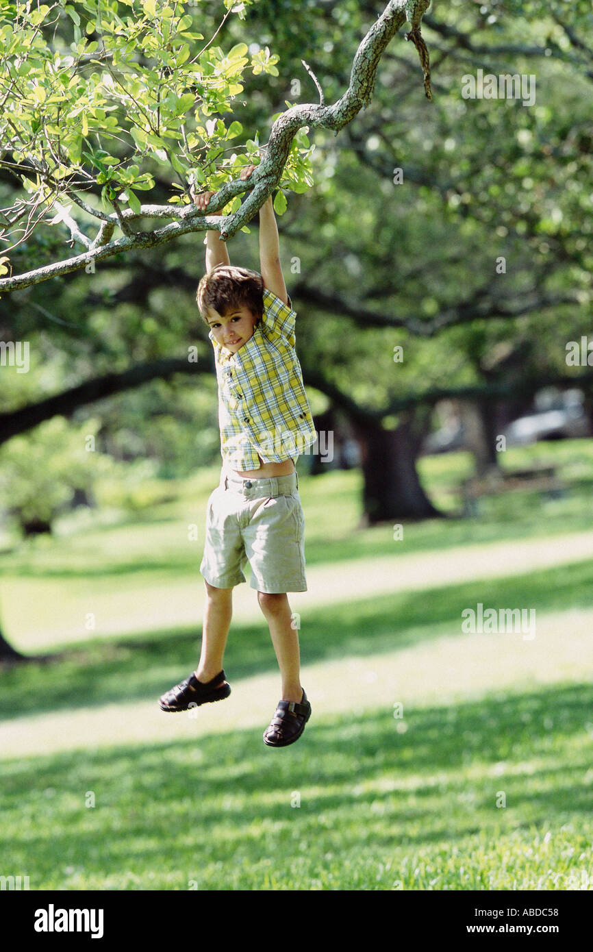 Boy swinging from tree Stock Photo - Alamy