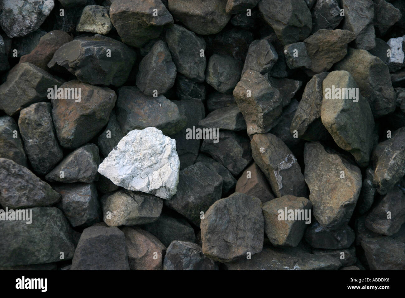 White stone surround by dark stones Stock Photo