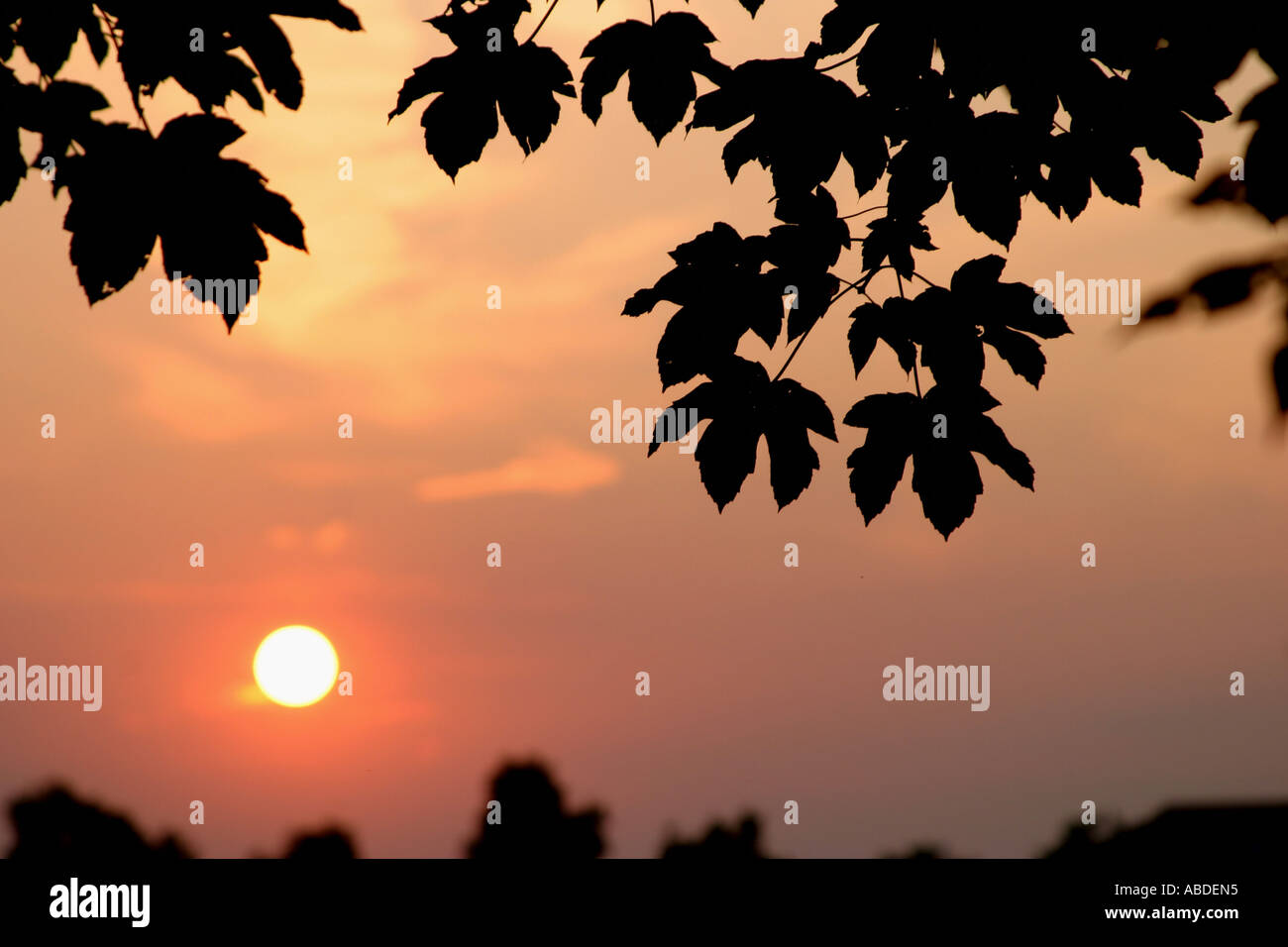 sunset Stock Photo