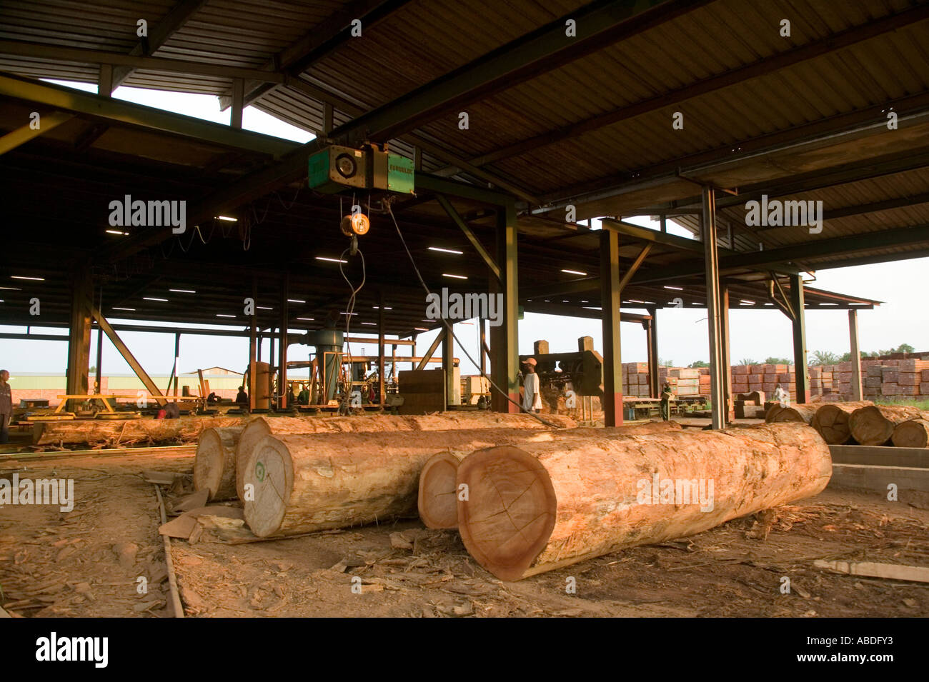 Saw mill in the rainforest sawing Sapele (African Mahogany) trees into planks, Republic of Congo Stock Photo