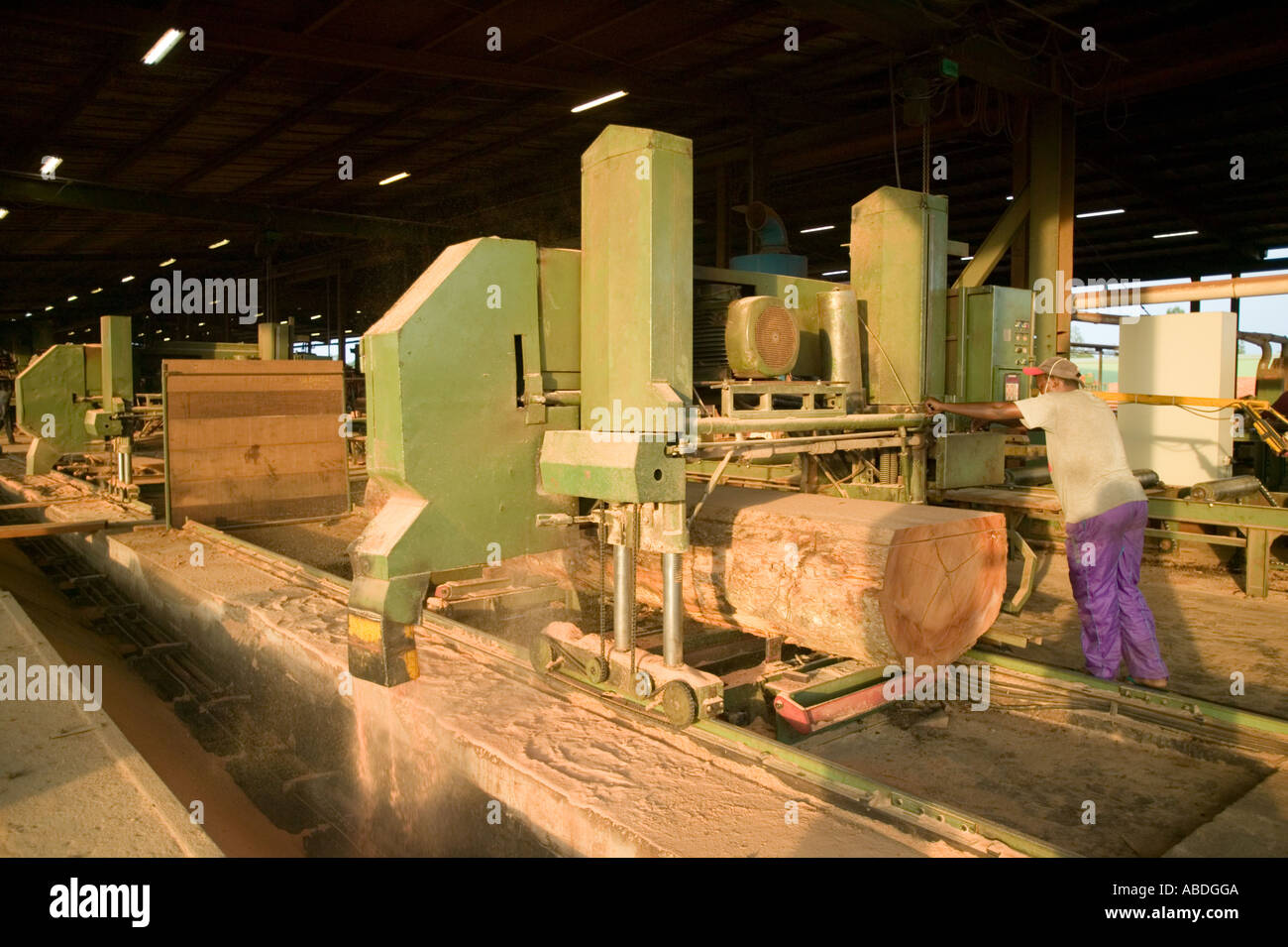 Rainforest sawmill where African mahogany is processed into planks, the Republic of Congo Stock Photo