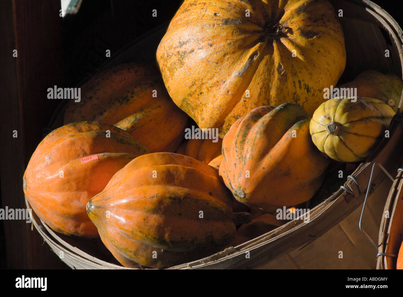 Colorful orange squash in open air market Stock Photo