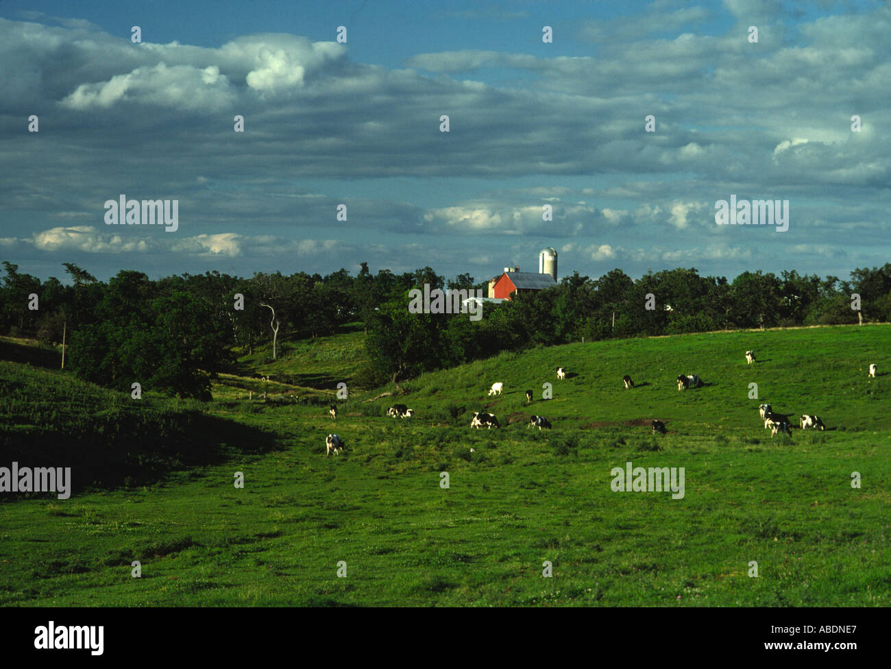 Wisconsin dairy farm hi-res stock photography and images - Alamy