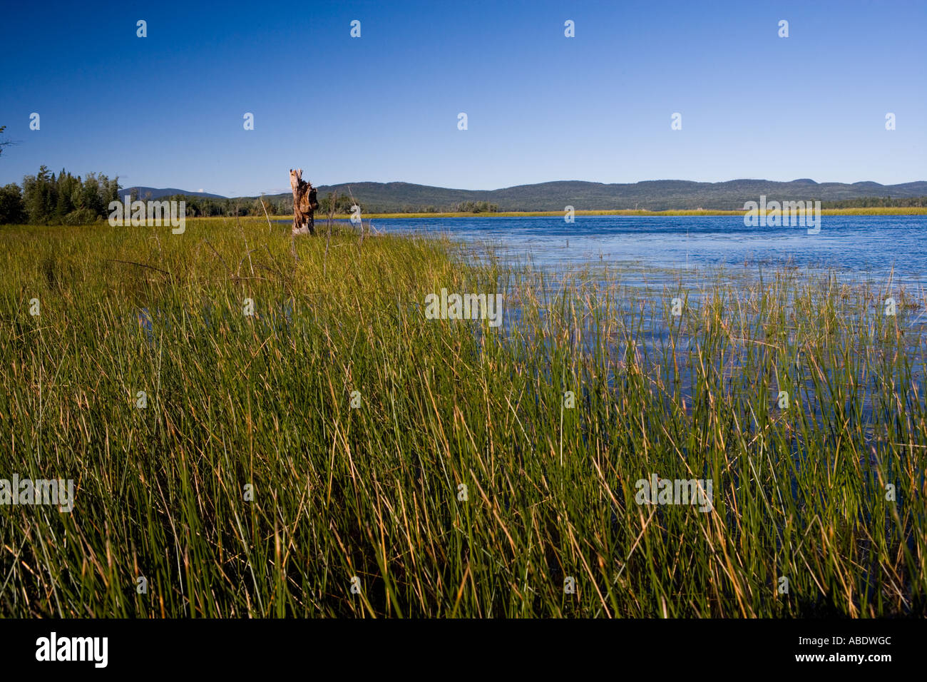 Androscoggin River Errol NH Stock Photo Alamy