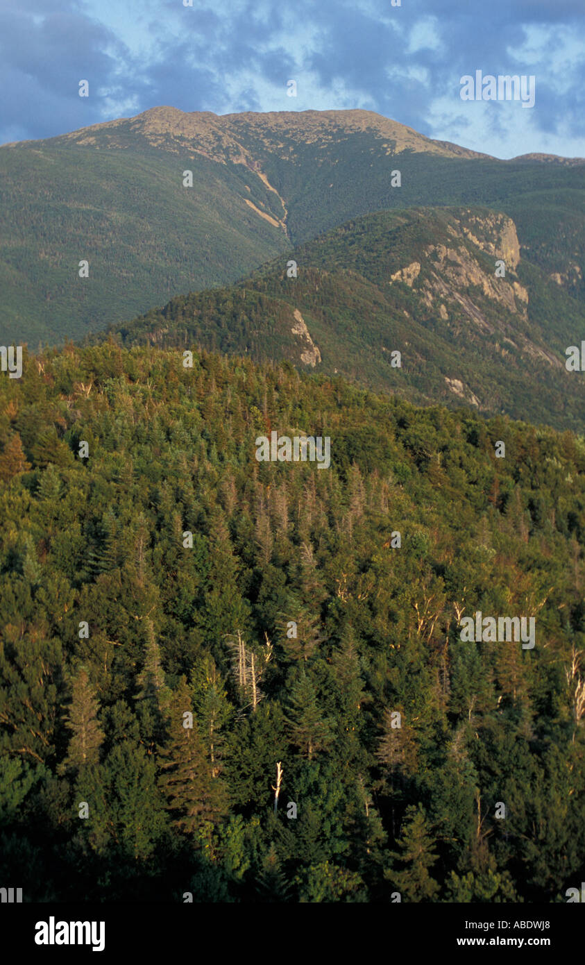Franconia Notch State Park View from Bald Mountain of Mount Lafayette
