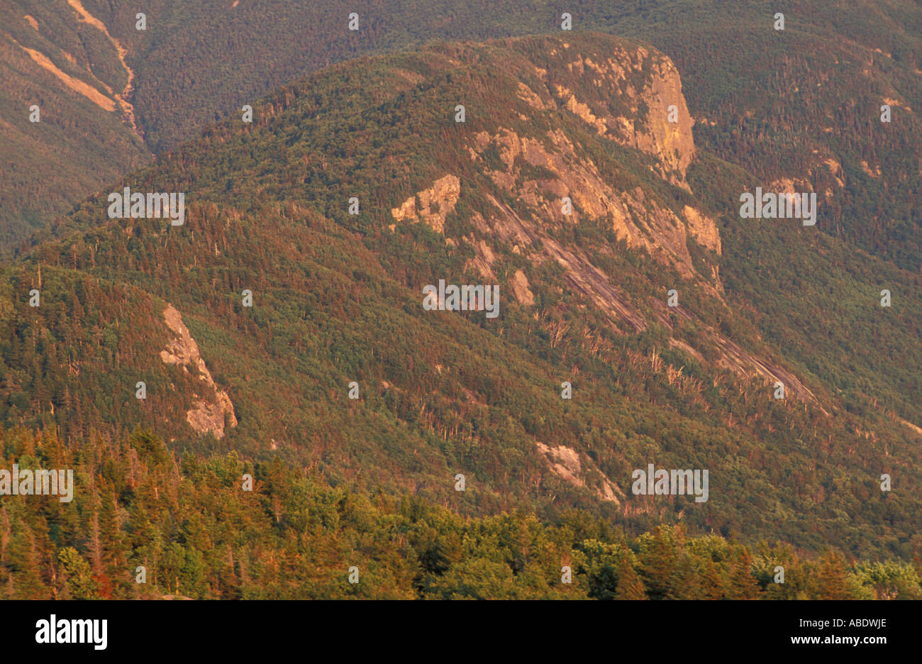 Franconia Notch State Park View from Bald Mountain of Eagle Cliff