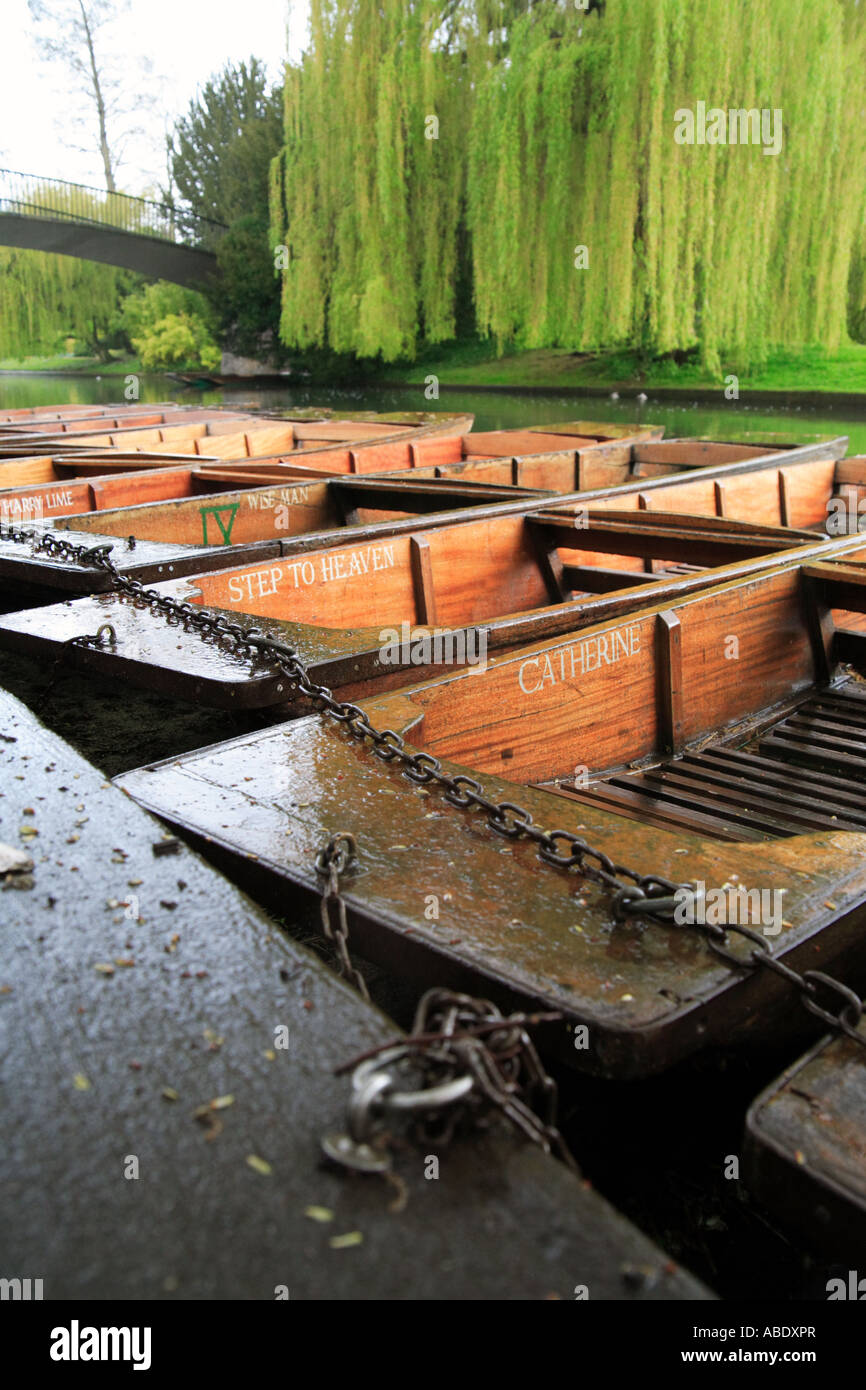 'Punts on the river Cam' at 'Trinity College Cambridge' Stock Photo