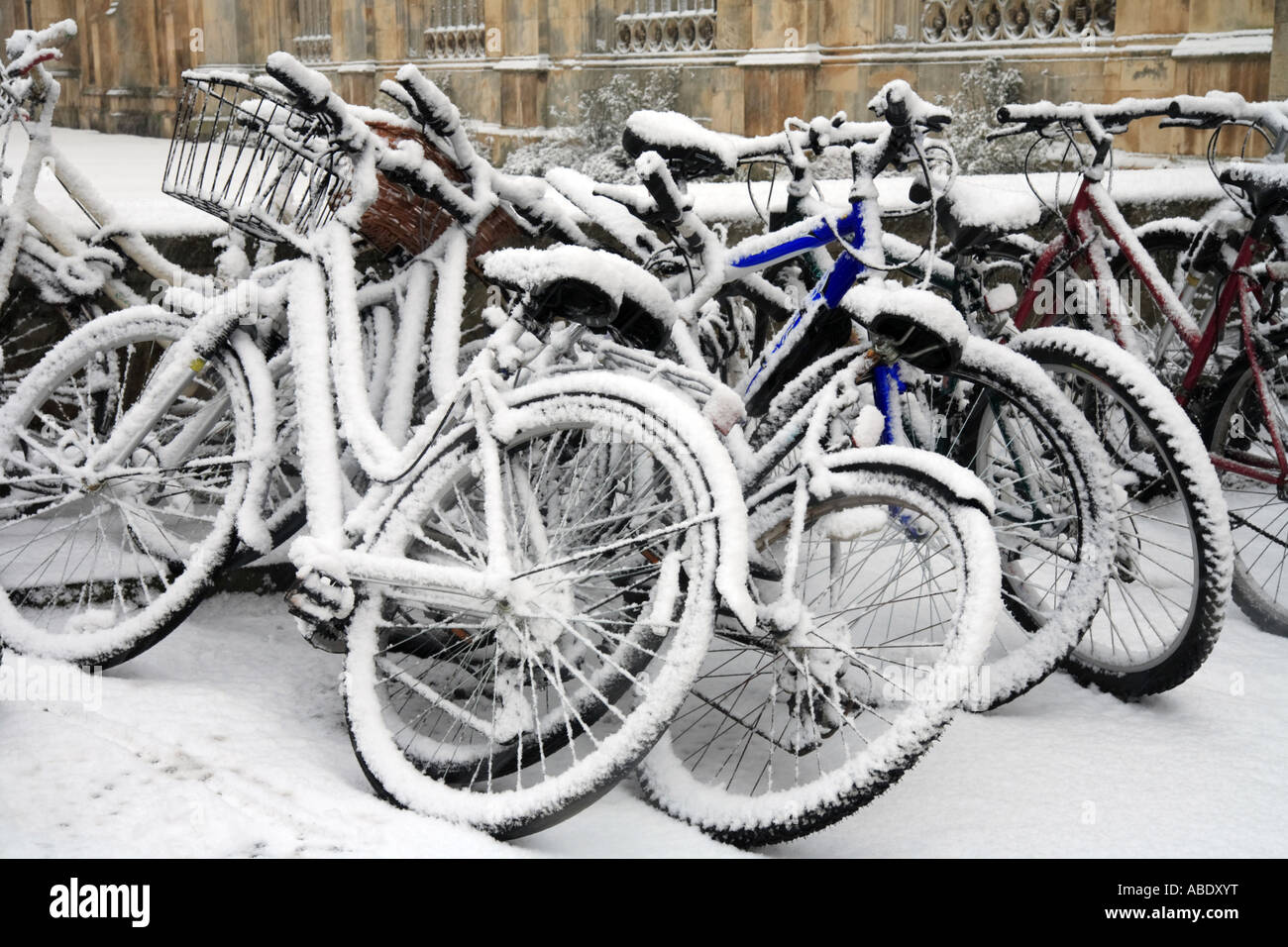 Bikes in cycle rack in the snow, outside 'Kings College' University of Cambridge. Stock Photo