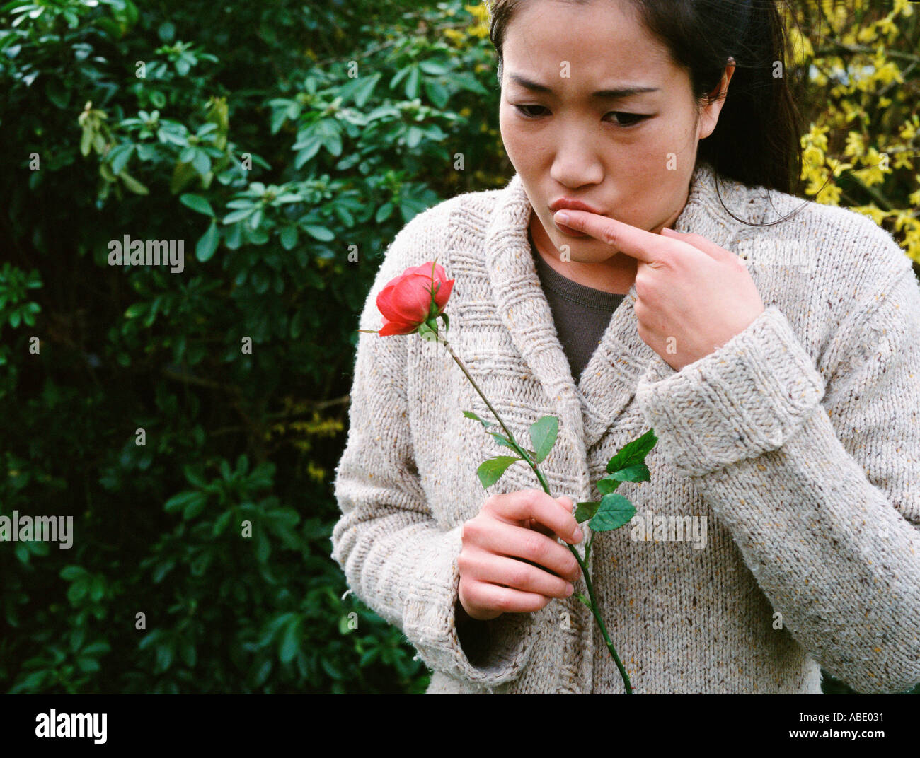 Girl hurts her finger on a rose thorn Stock Photo Alamy