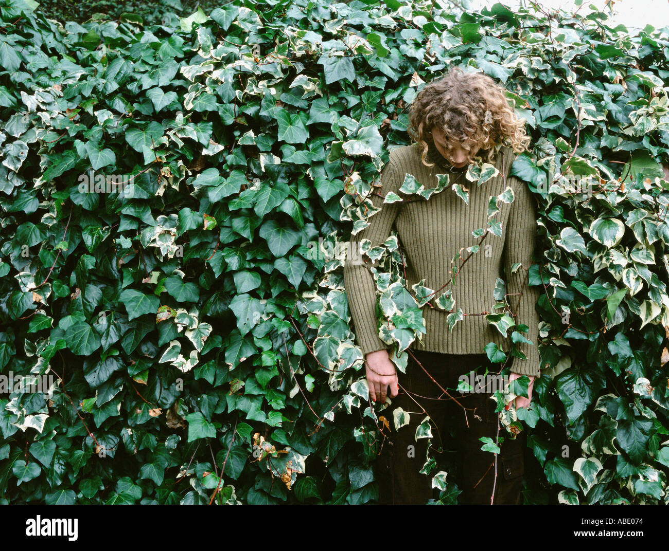 Woman stuck in ivy Stock Photo