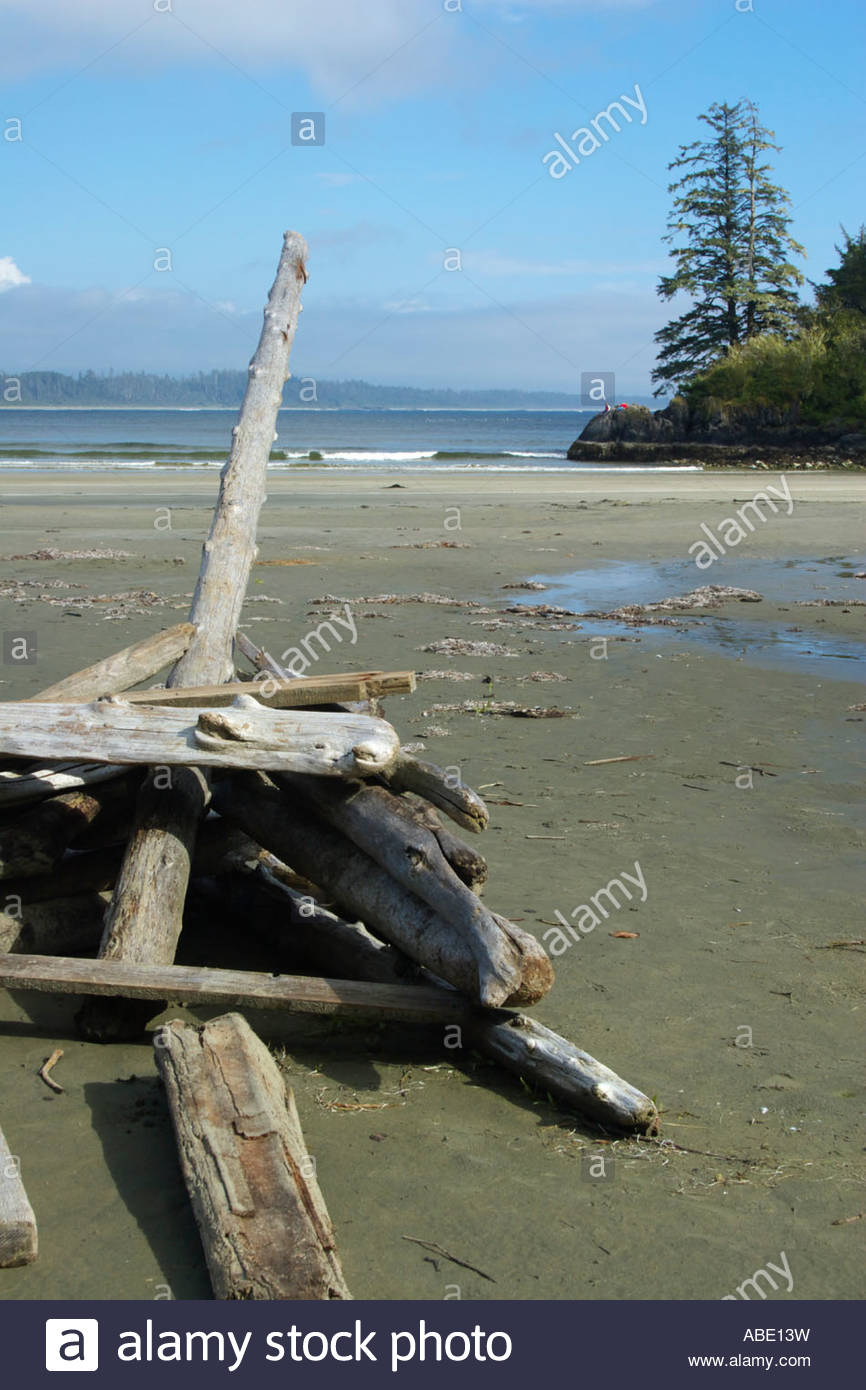 Pics Beach Erection