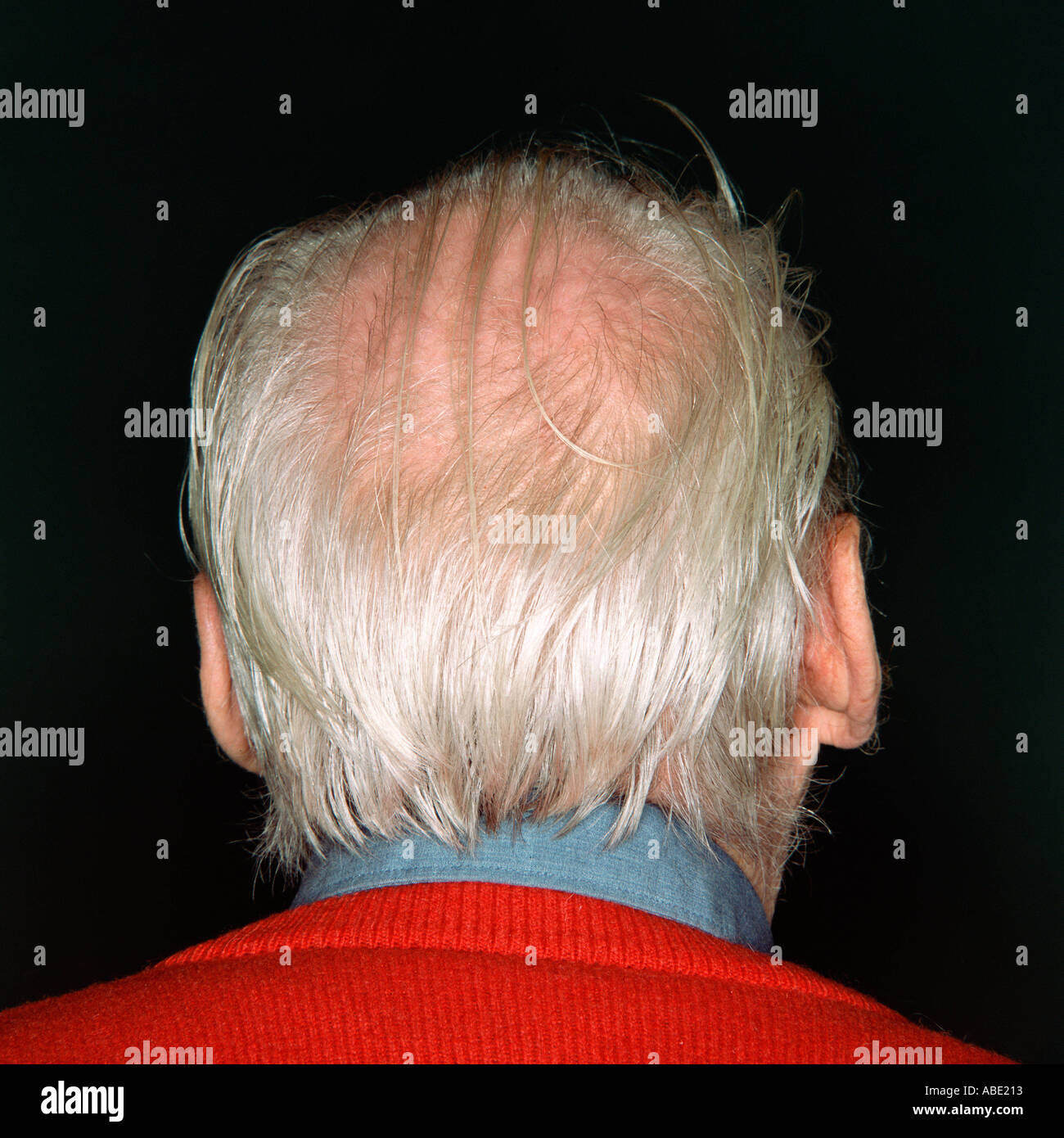 White-haired senior man Stock Photo