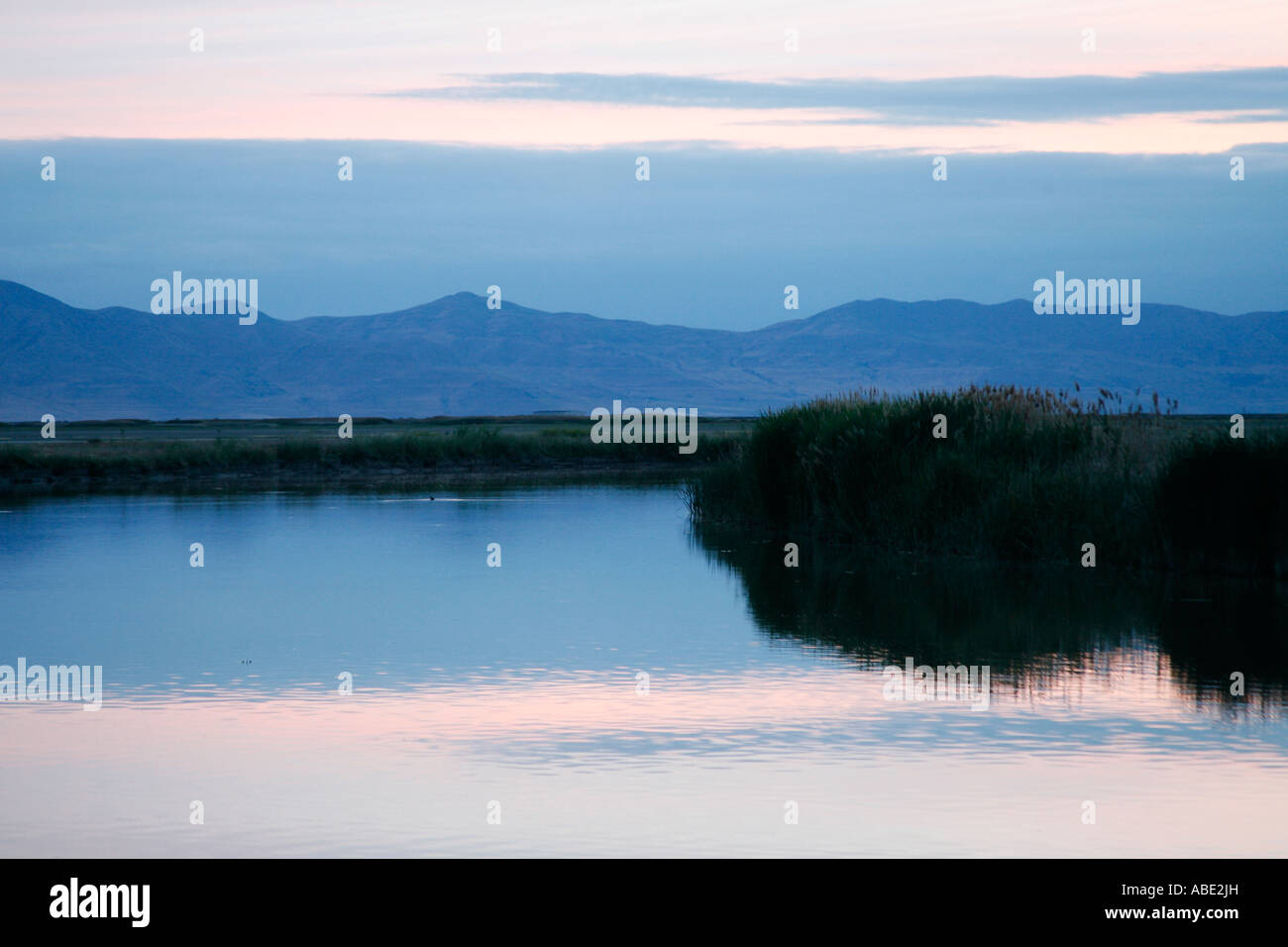 Bear River Migratory Bird Refuge in Utah Stock Photo