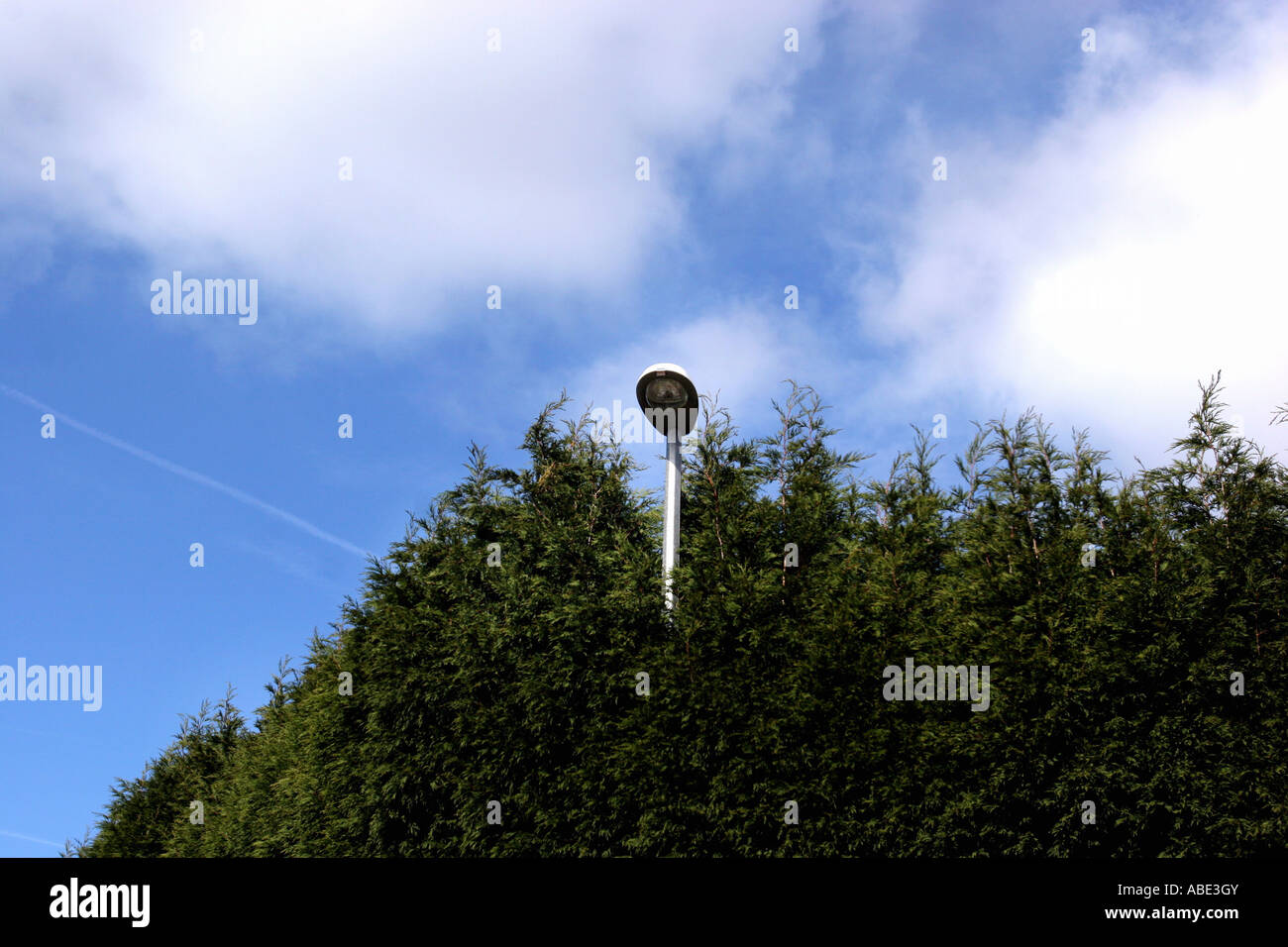Streetlight surrounded by shrubbery Stock Photo