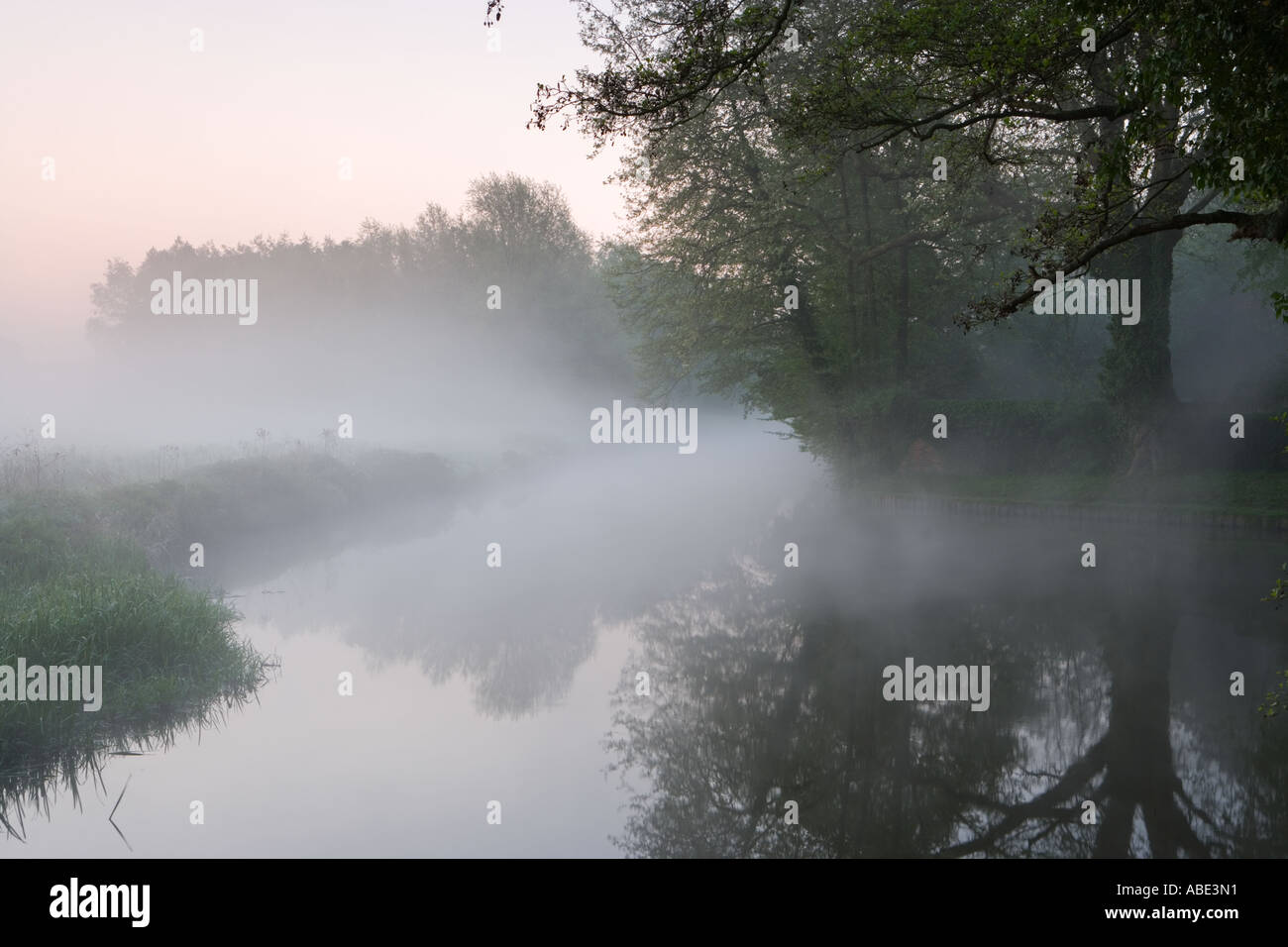 Misty spring dawn by Bower's Lock, River Wey, Guildford, Surrey, England, UK Stock Photo