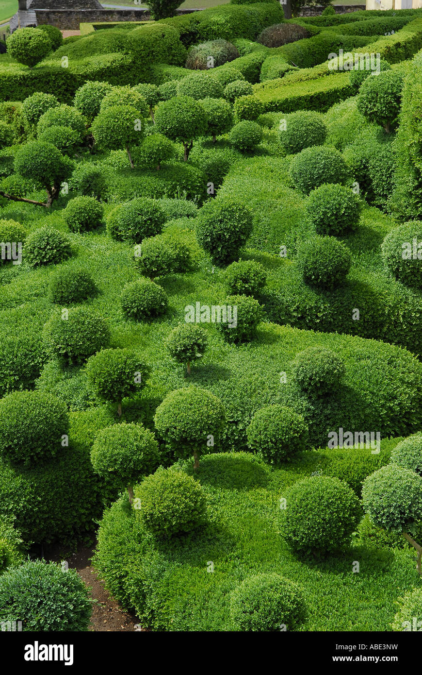 Backdrop hedges hi-res stock photography and images - Alamy