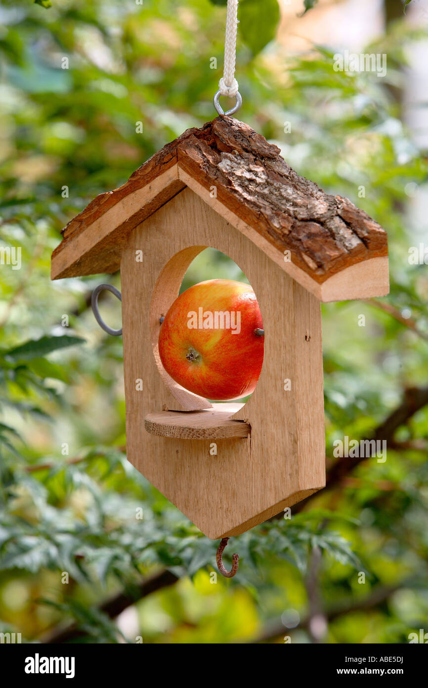 Bird Feeder Designer Stock Photos Bird Feeder Designer Stock