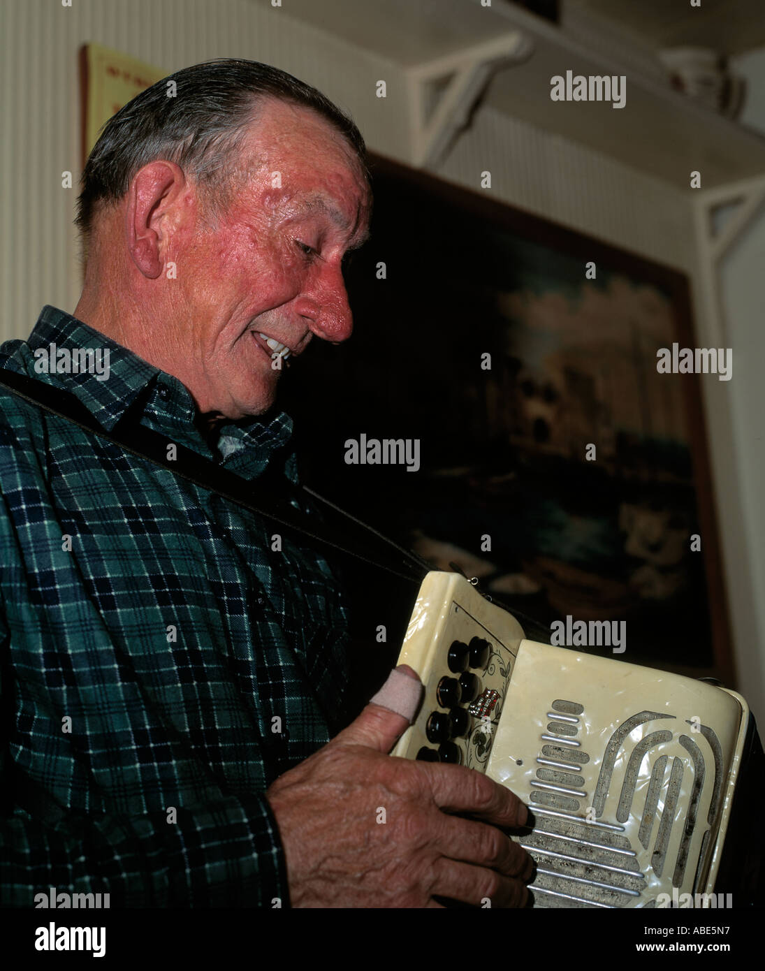traditional irish accordion player playing traditional music Stock Photo Alamy