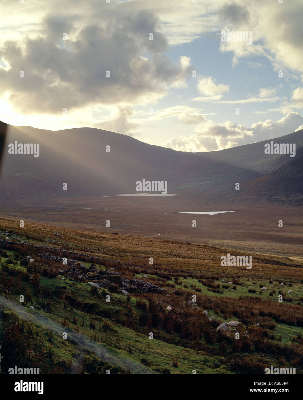 conor pass, dingle peninsula, beauty in nature, , Stock Photo