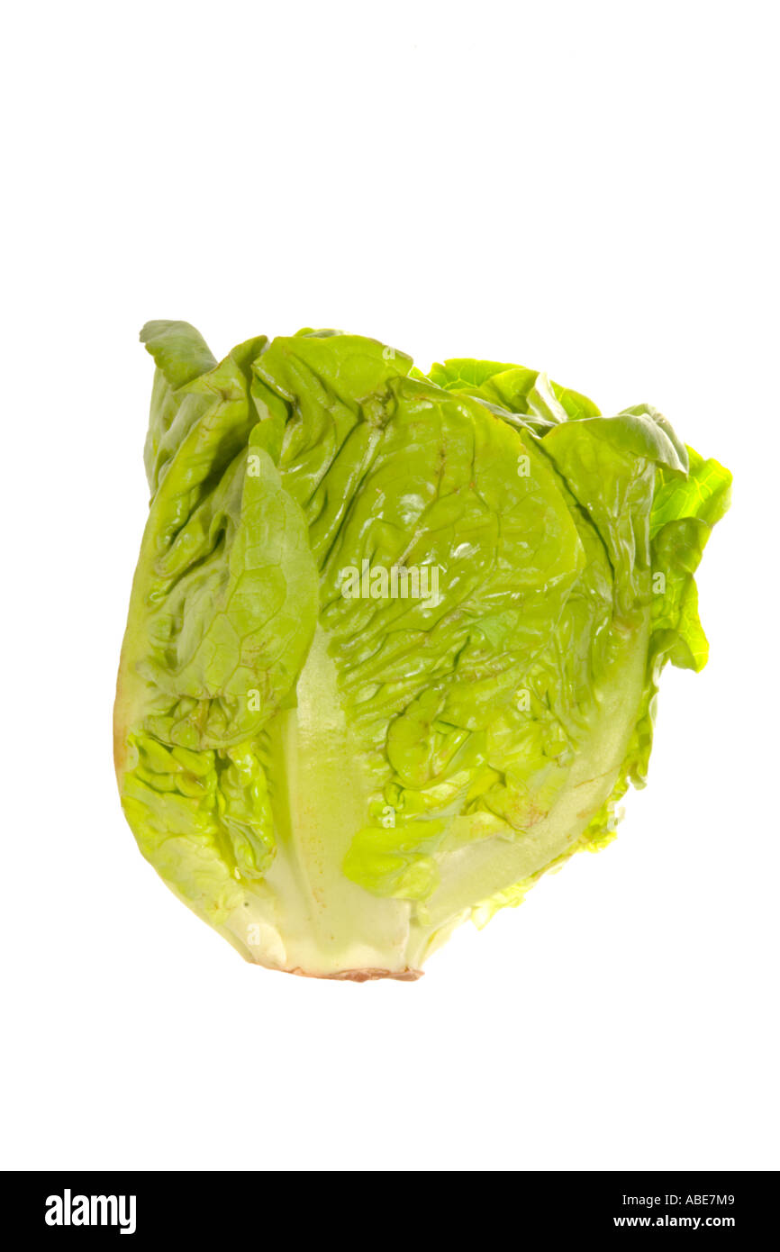 Lettuce, Little Gem. Supermarket produce Surrey England Stock Photo Alamy