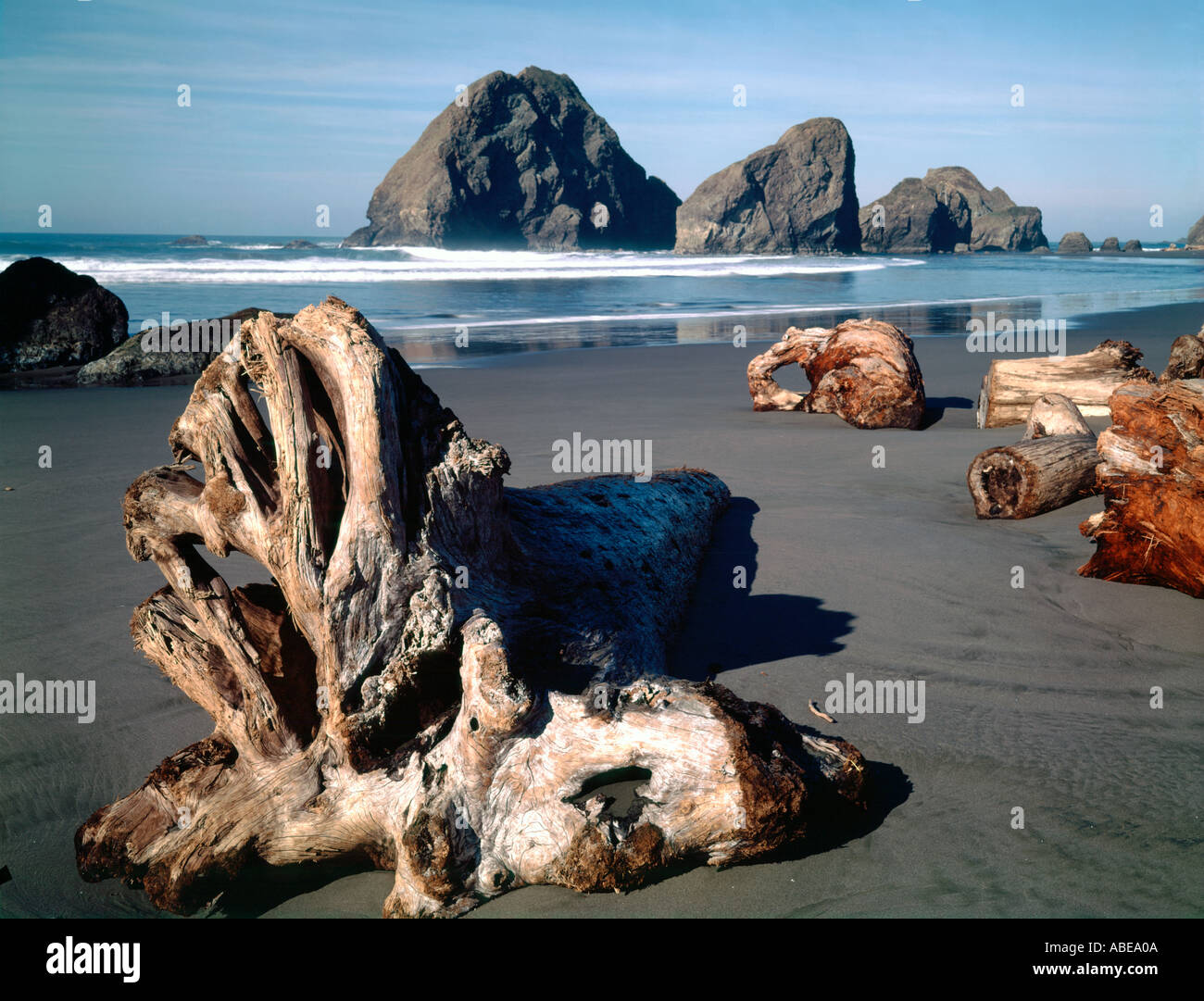 Driftwood at Harris Beach State Park near Brookings on the Southern