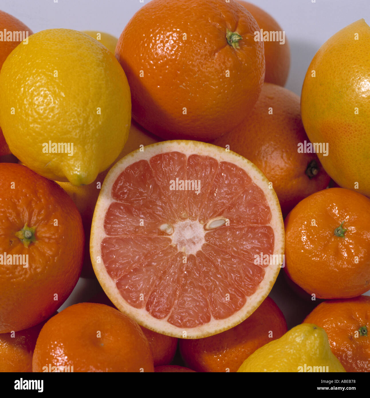 A selection of citrus fruits tangerines oranges satsumas clementines and sectioned grapefruit Stock Photo