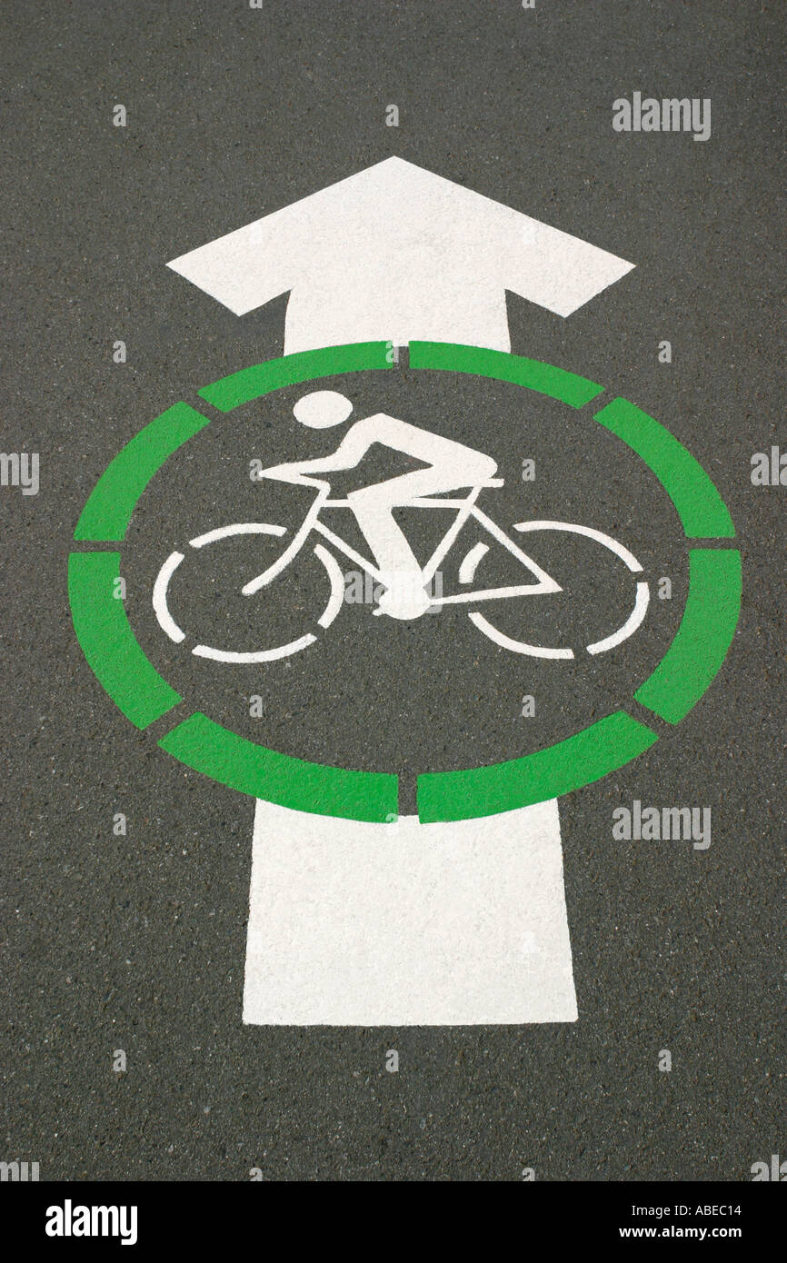 Directional arrow sign painted on road or pavement indicating a bicycle