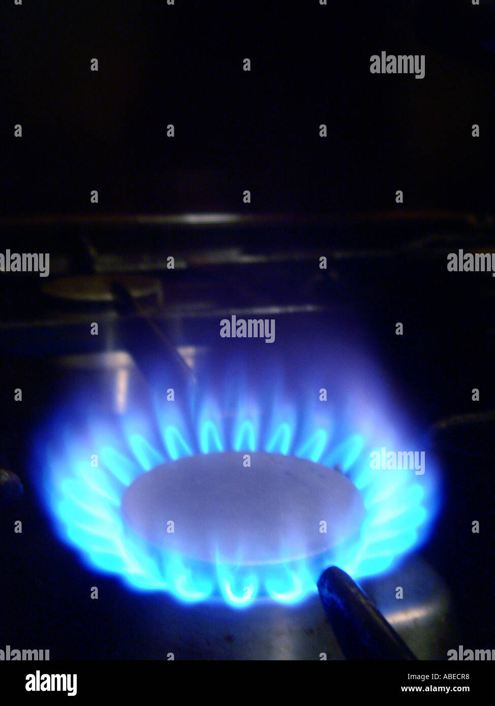 Gas flame of a gas cooker Stock Photo Alamy