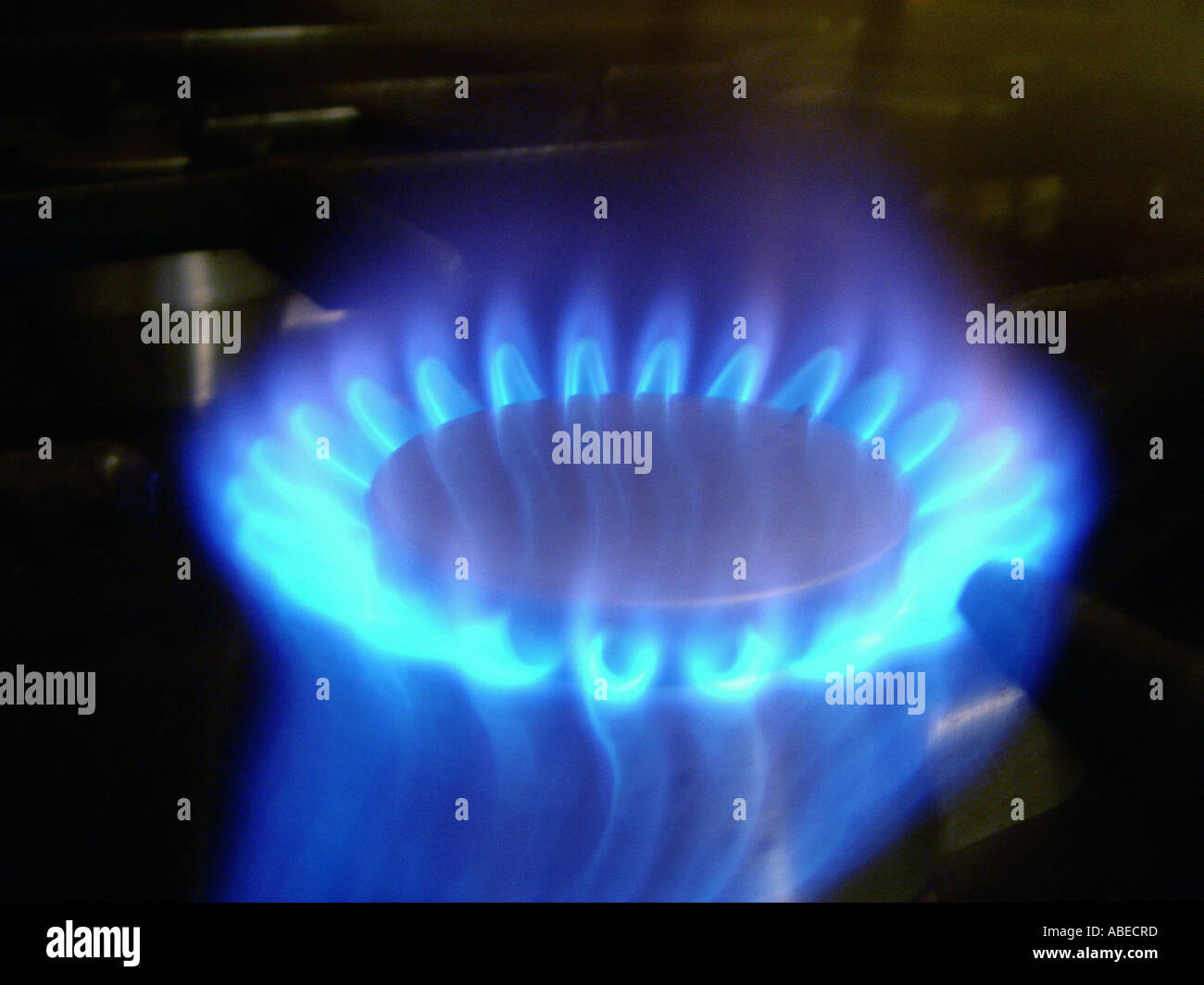 Gas flame of a gas cooker Stock Photo Alamy