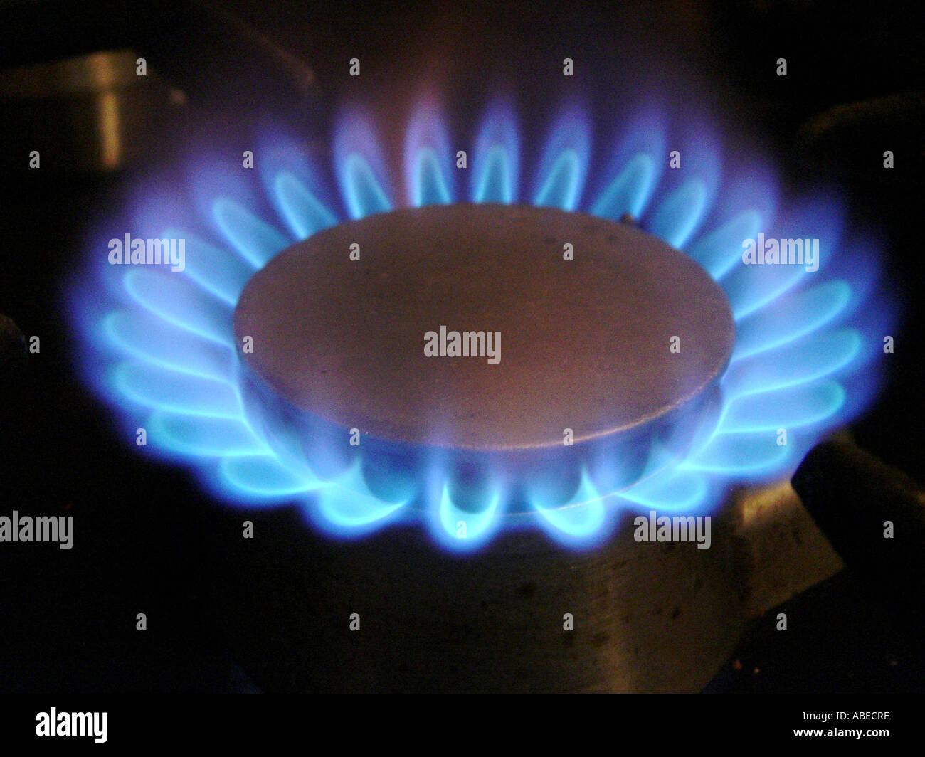 Gas flame of a gas cooker Stock Photo Alamy