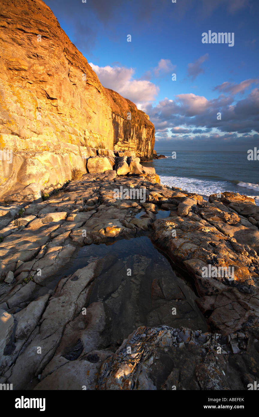 Afternoon sunlight at Dancing Ledge,  Isle of Purbeck, Dorset, UK Stock Photo