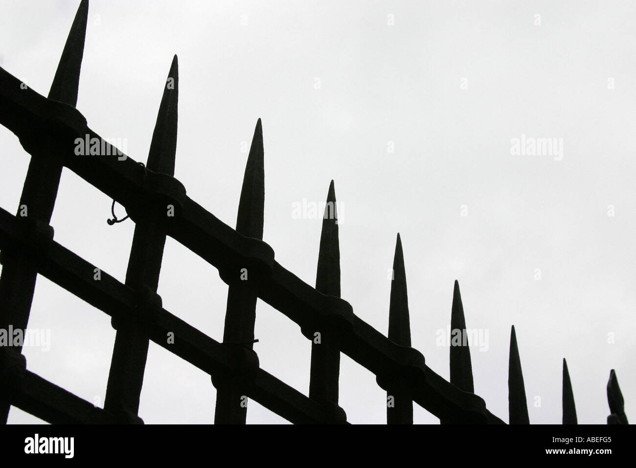 Lattice Of A Fence Stock Photo Alamy