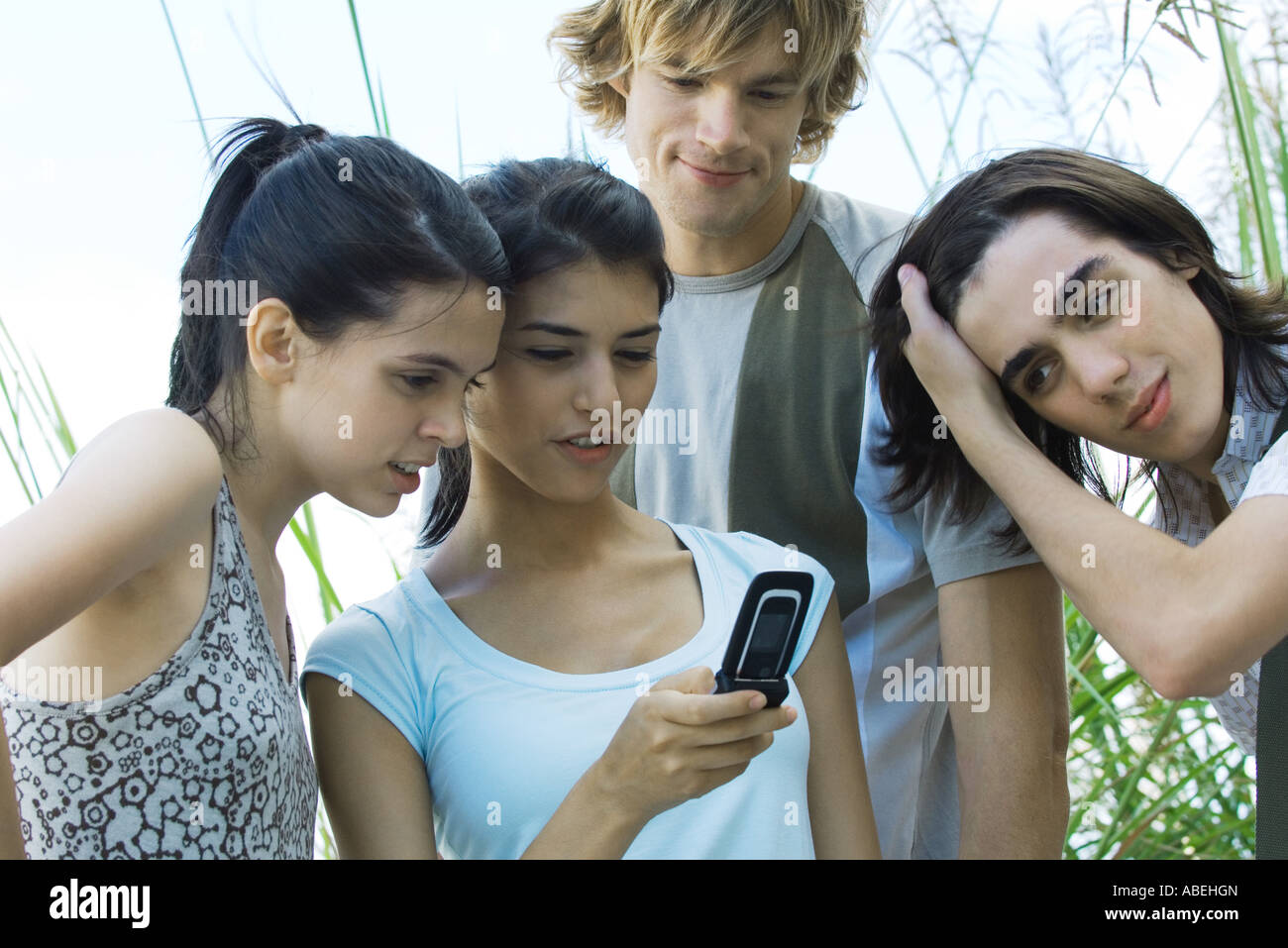 Group of young friends looking at cell phone together Stock Photo