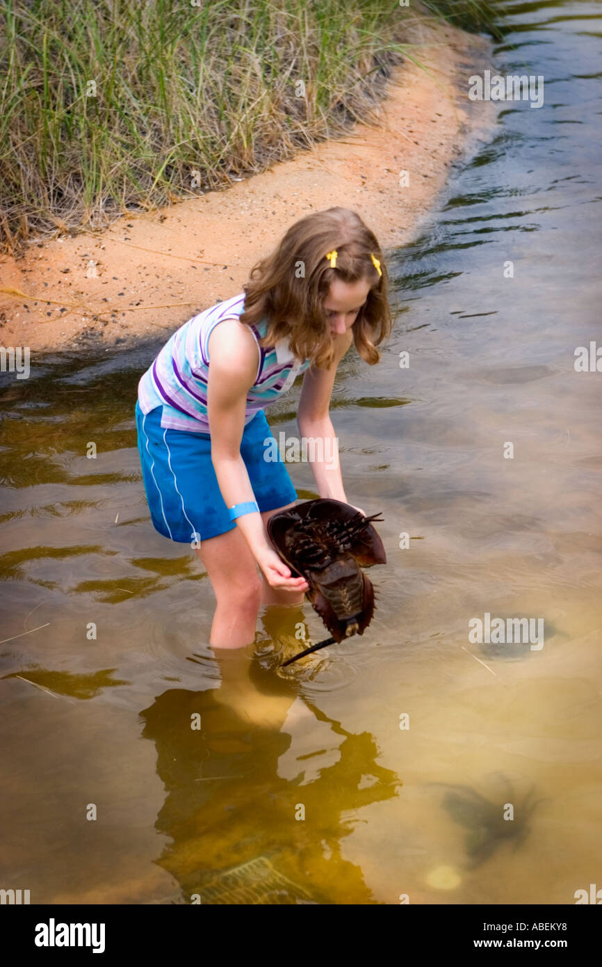 girl holding horseshoe crab Stock Photo Alamy