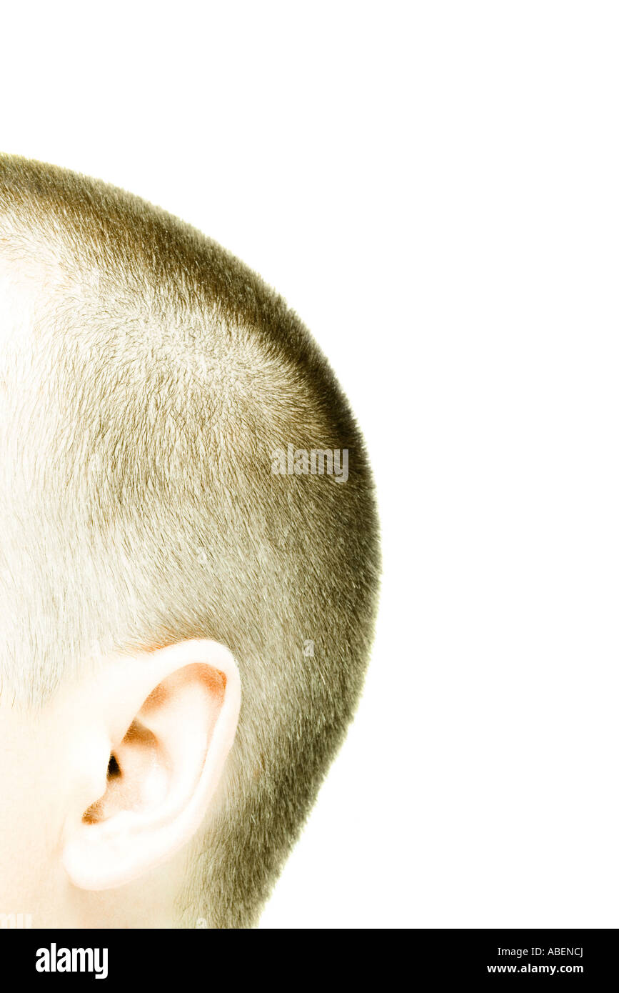 Young mans shaved head, close-up Stock Photo