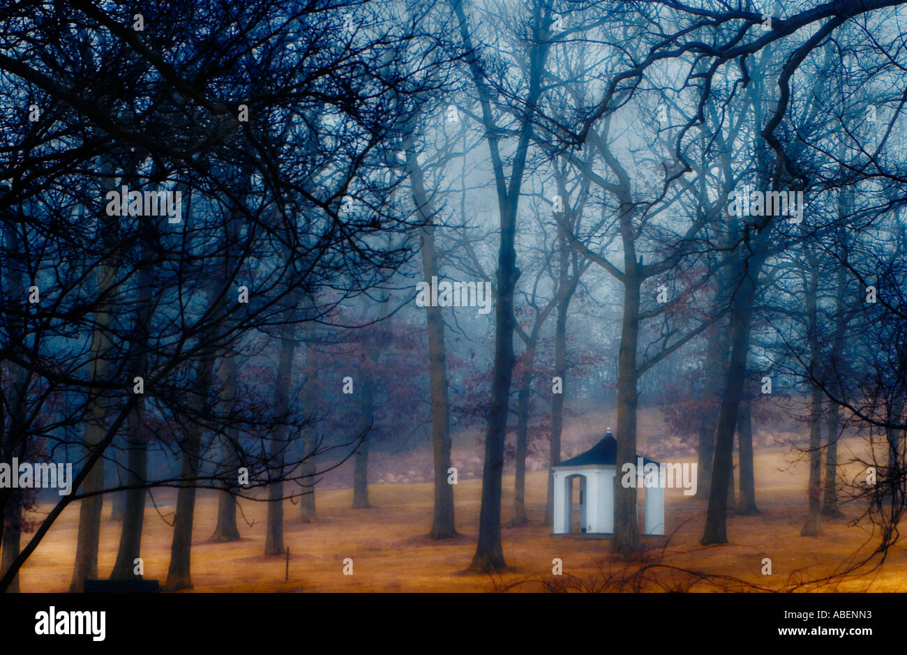 gazebo in the woods on a foggy day Stock Photo