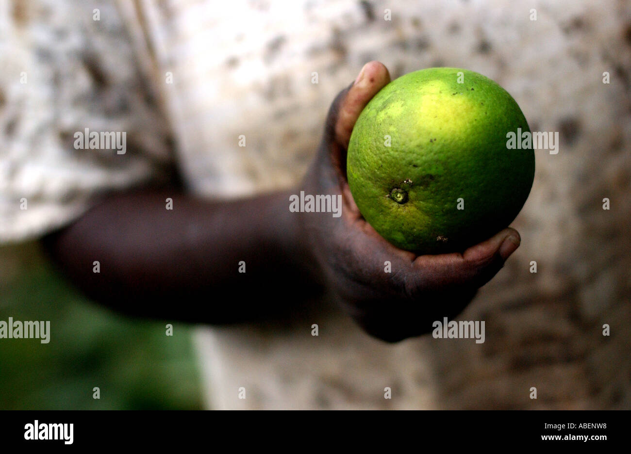 Fairtrade bananas farming hi-res stock photography and images - Alamy