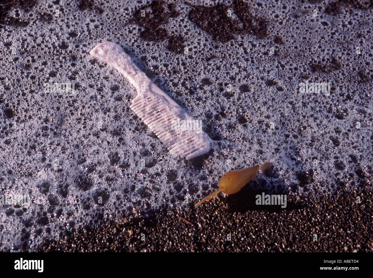 "Plastic comb on beach, California Stock Photo Alamy