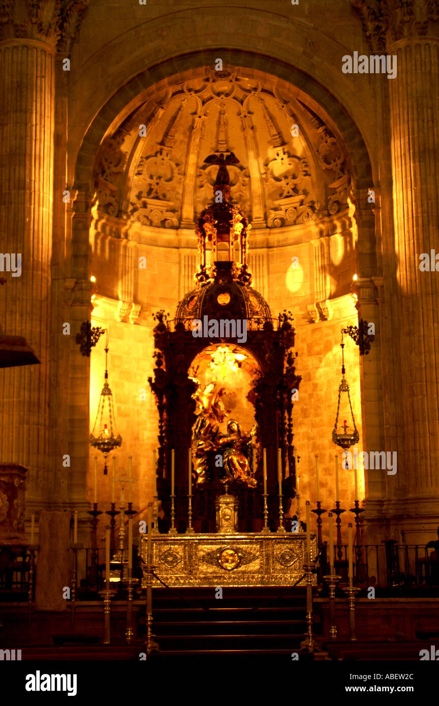 Inside the Collegiate church of Santa Maria de la encarnacion mayor ...