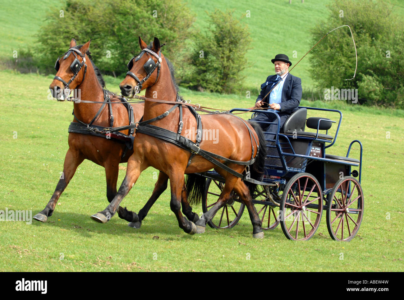 Horse and carriage Stock Photo Alamy