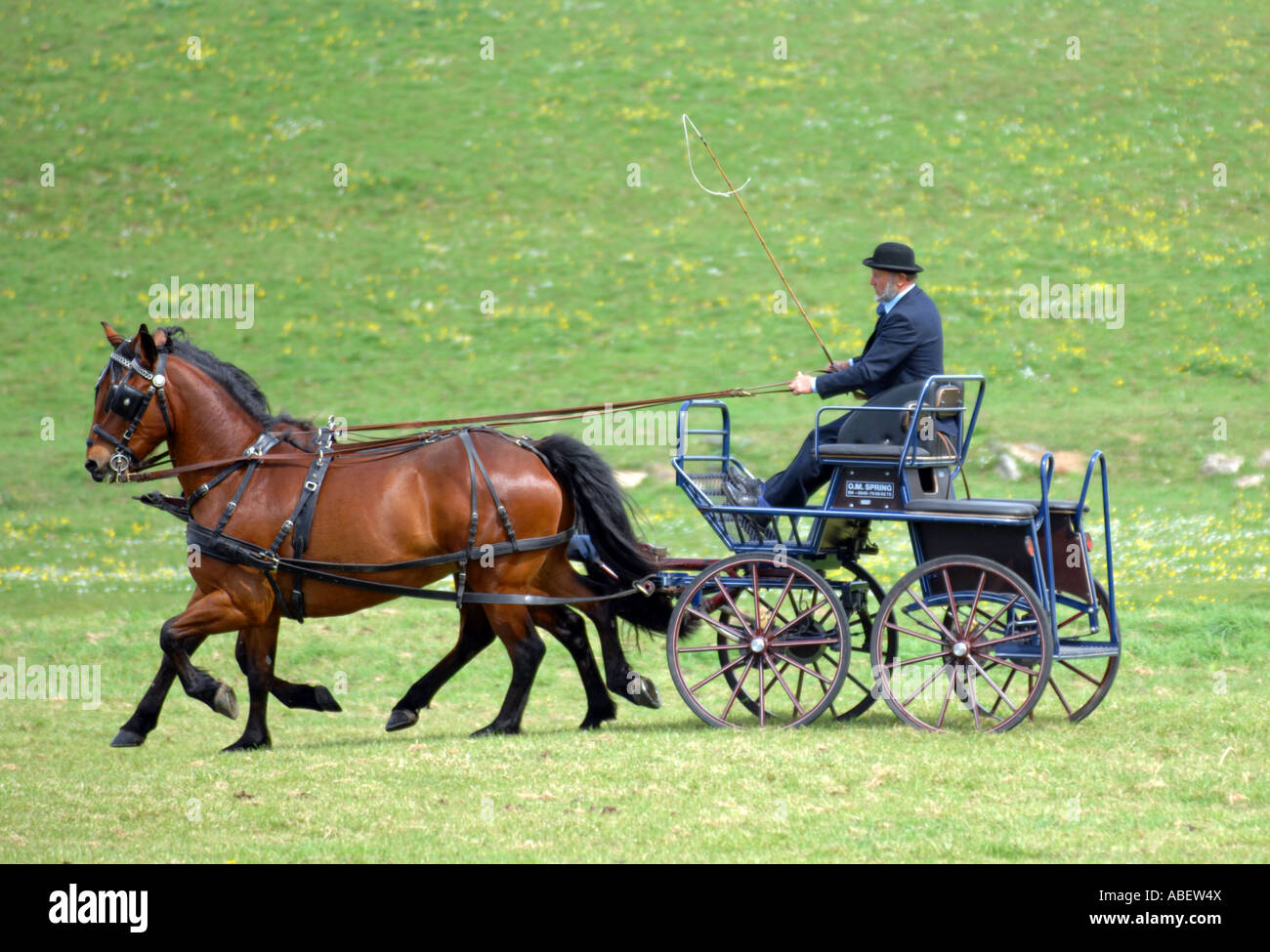 Horse and carriage Stock Photo Alamy