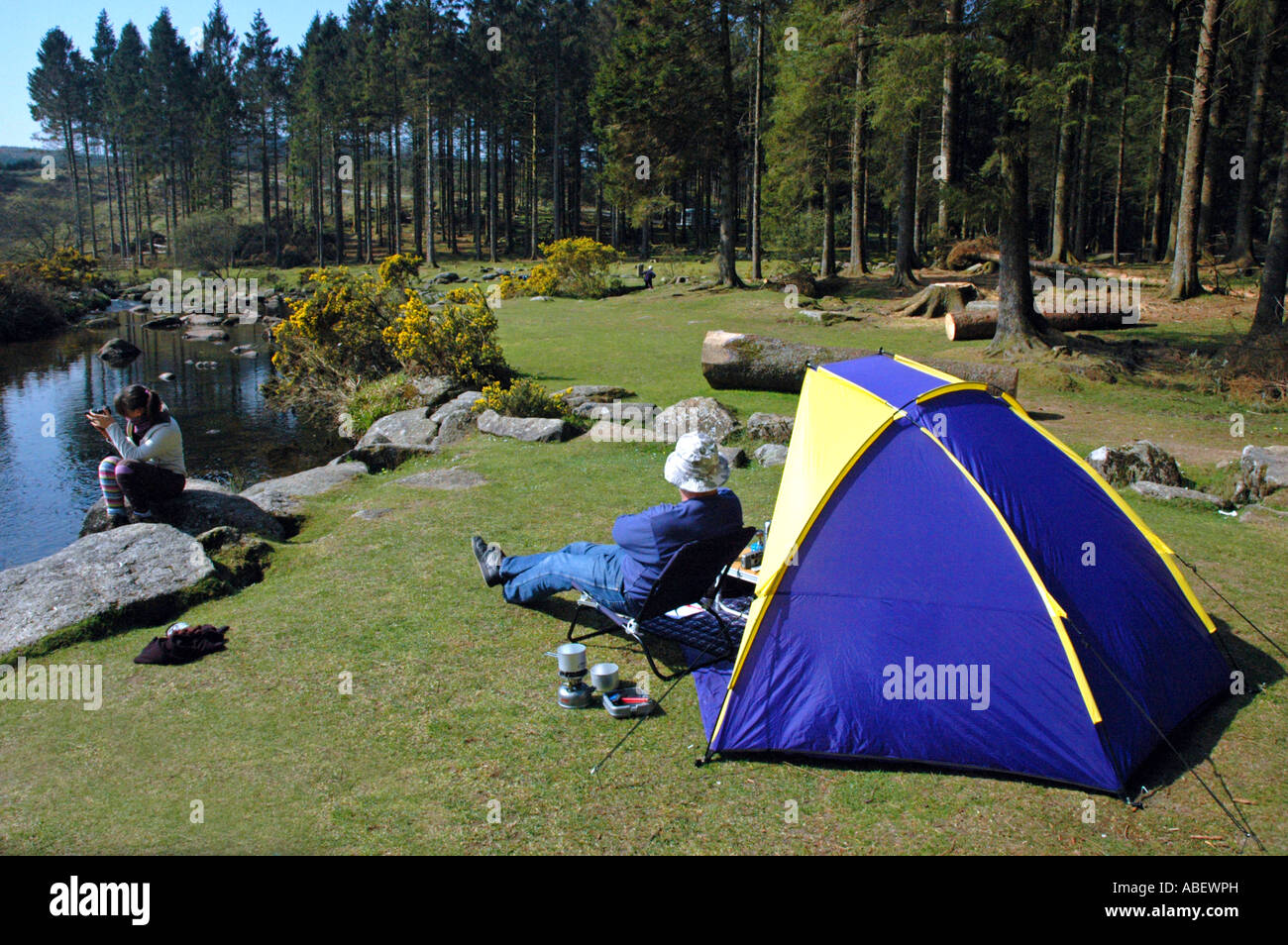 Camping On Dartmoor Bellever Forset Next To The River Dart Devon Britain Stock Photo Alamy