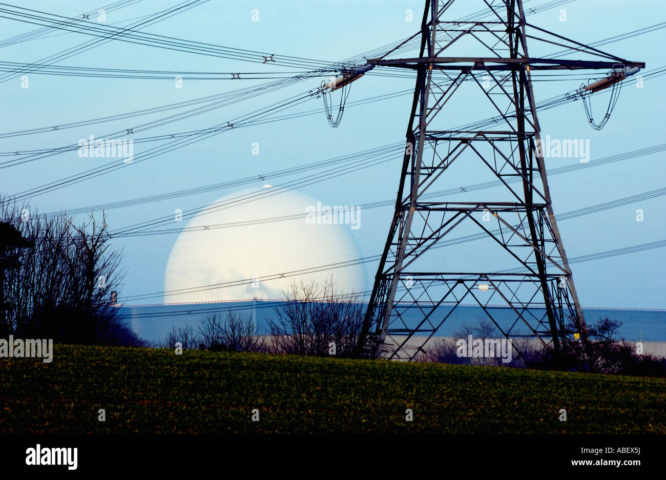 Sizewell B Nuclear Power Station with power pylon viewed across farmland Stock Photo