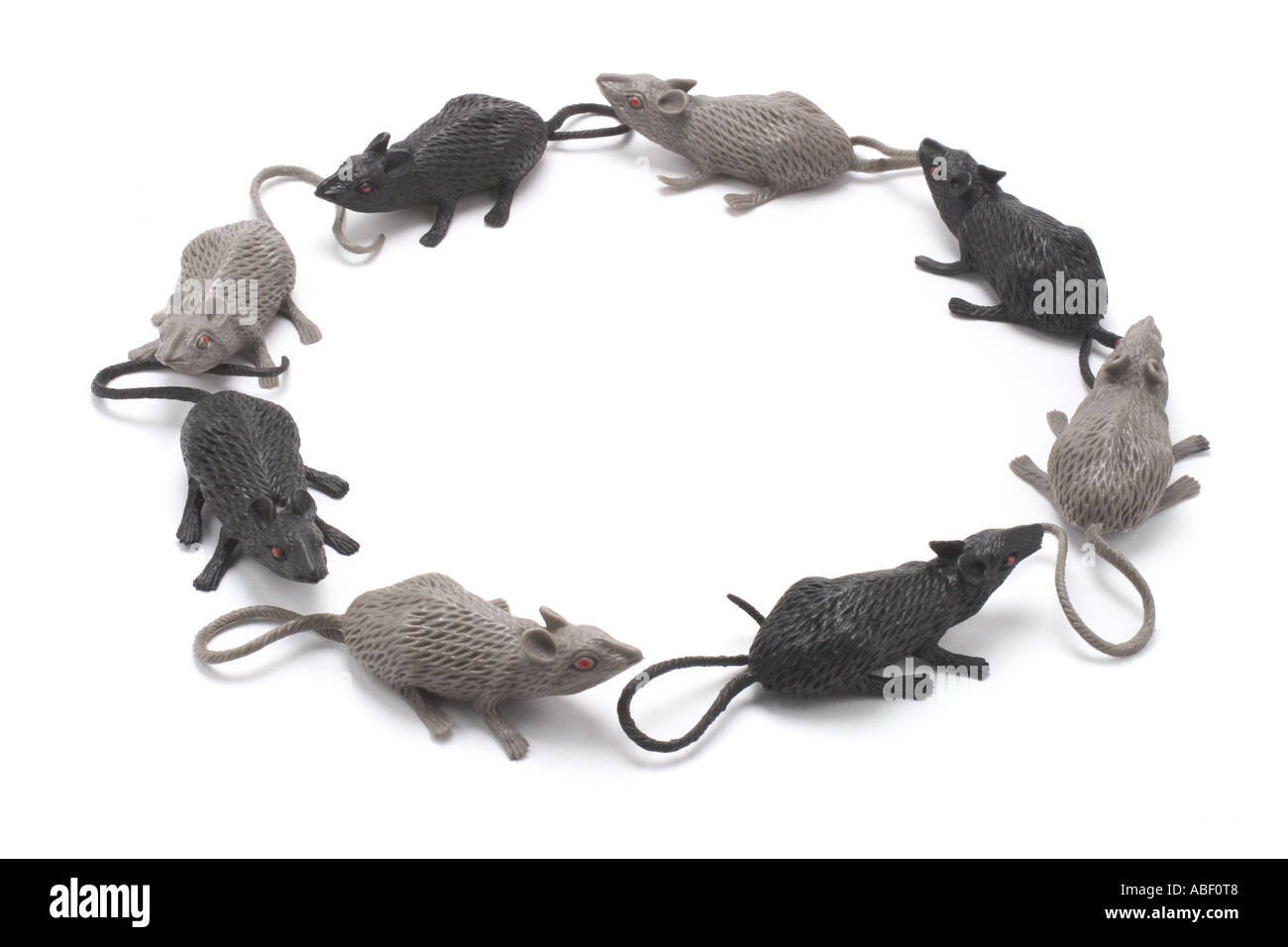 Circle of Toy Rats Stock Photo Alamy