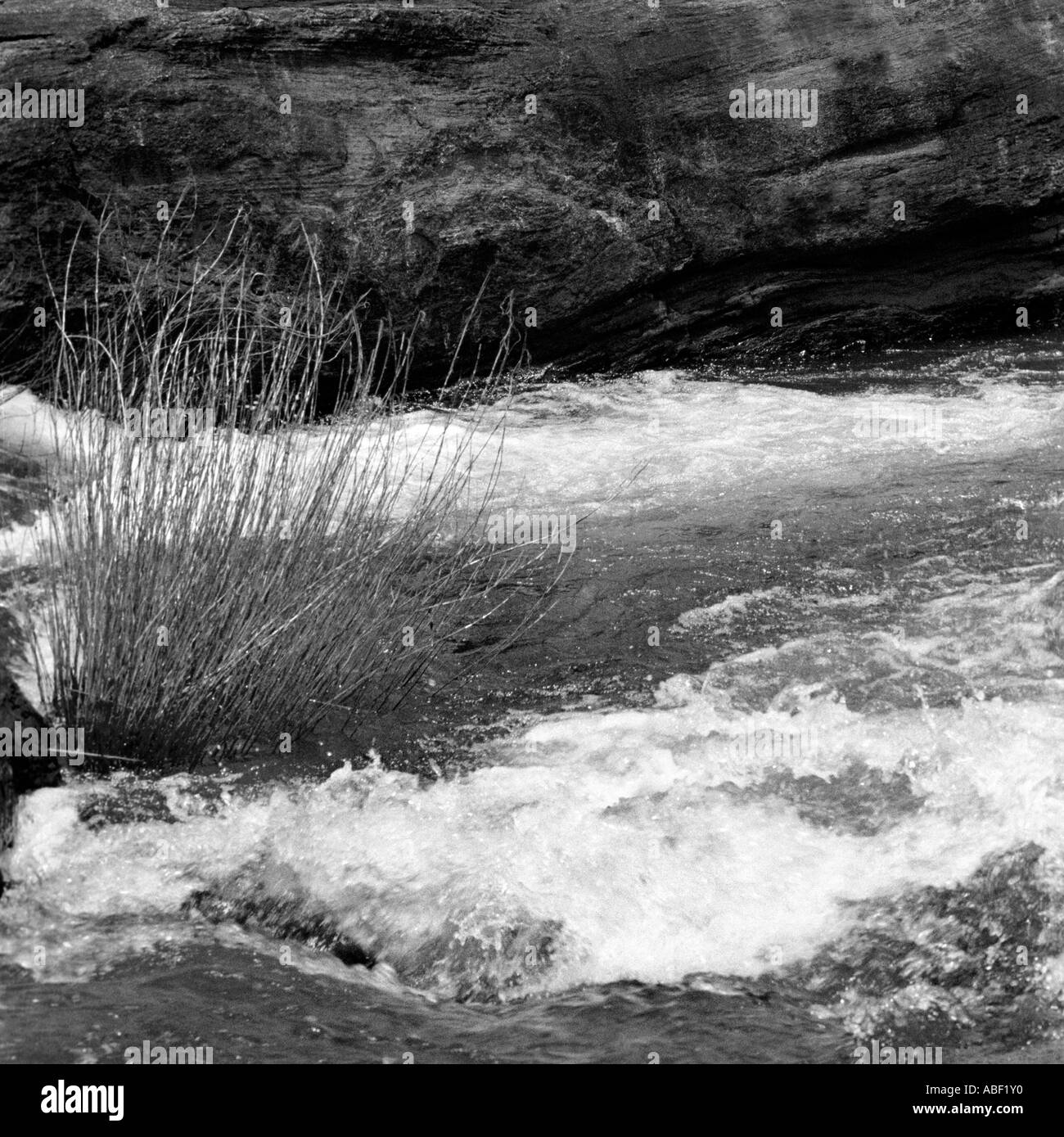A rocky landscape with dry grass and flowing water Kerala India Stock