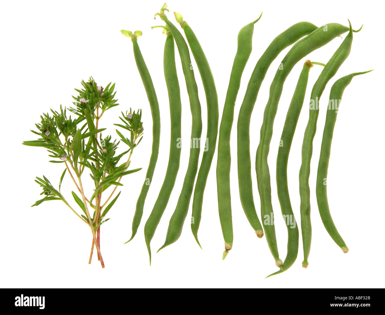 Green vegetables beans silo hi-res stock photography and images - Alamy
