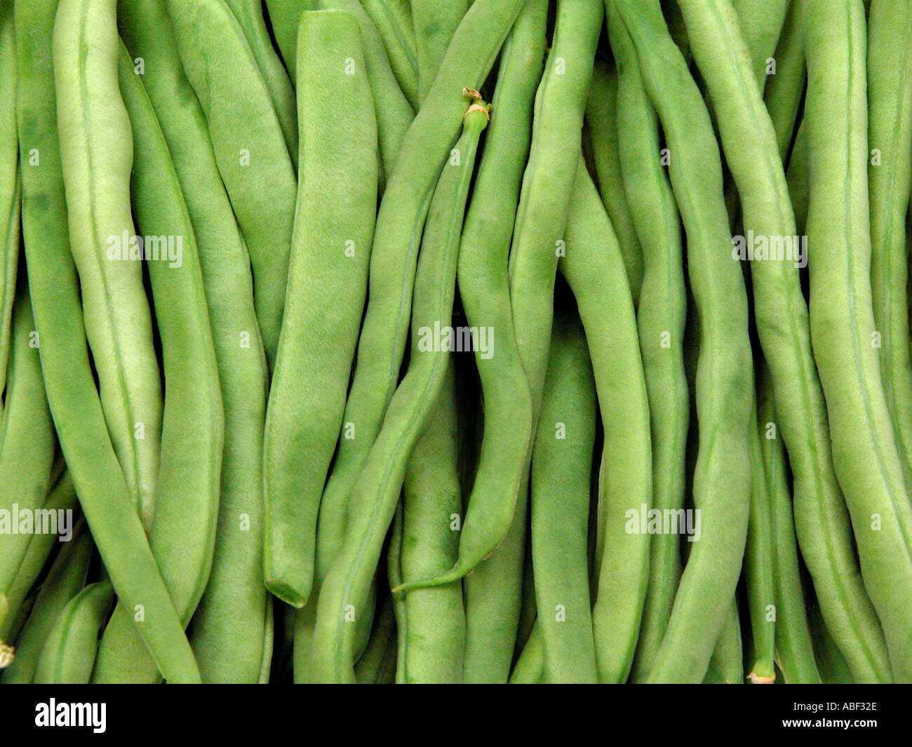green french beans Stock Photo Alamy