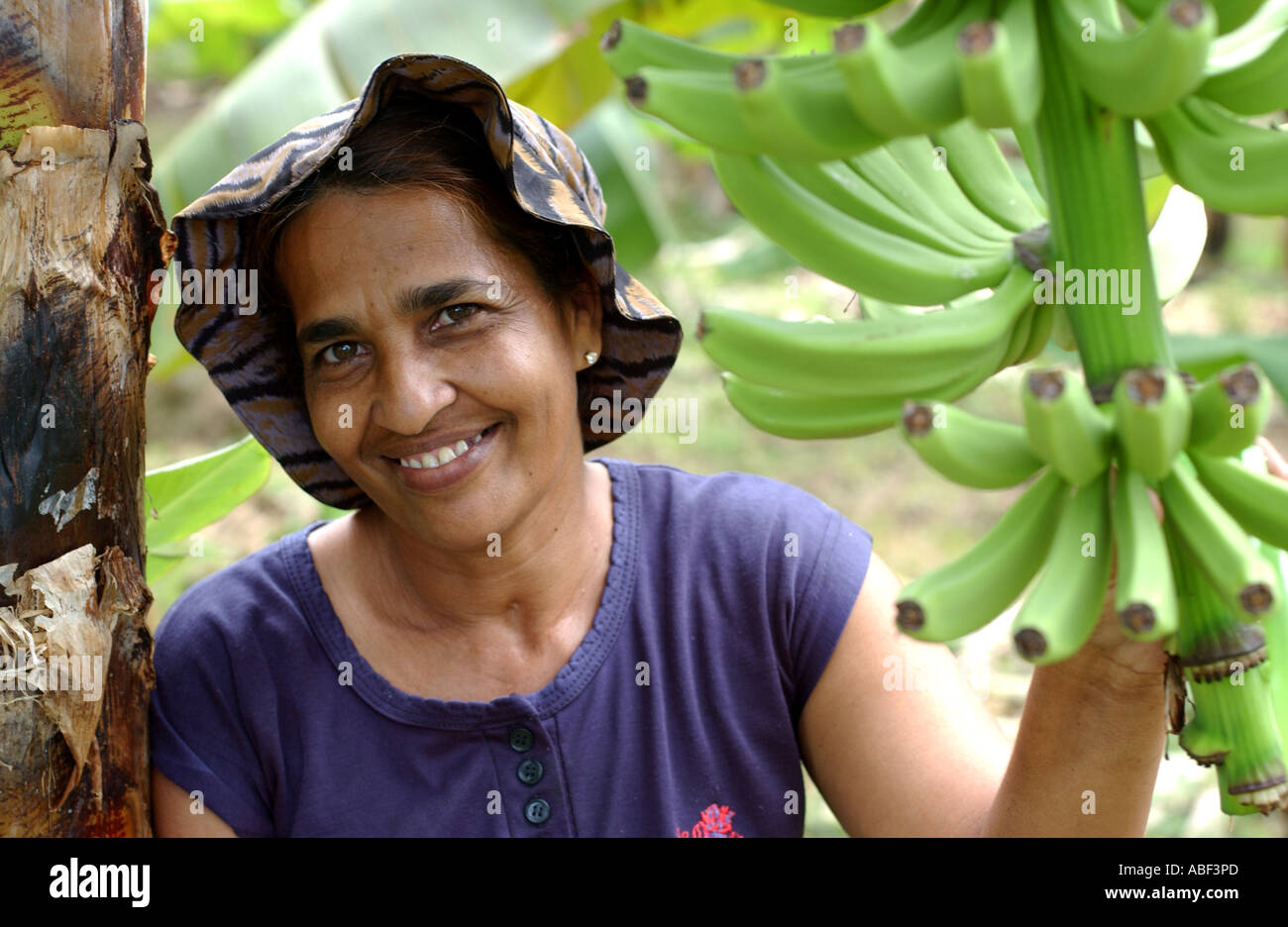 Fairtrade banana farmer, Dominica, Caribbean Stock Photo Alamy